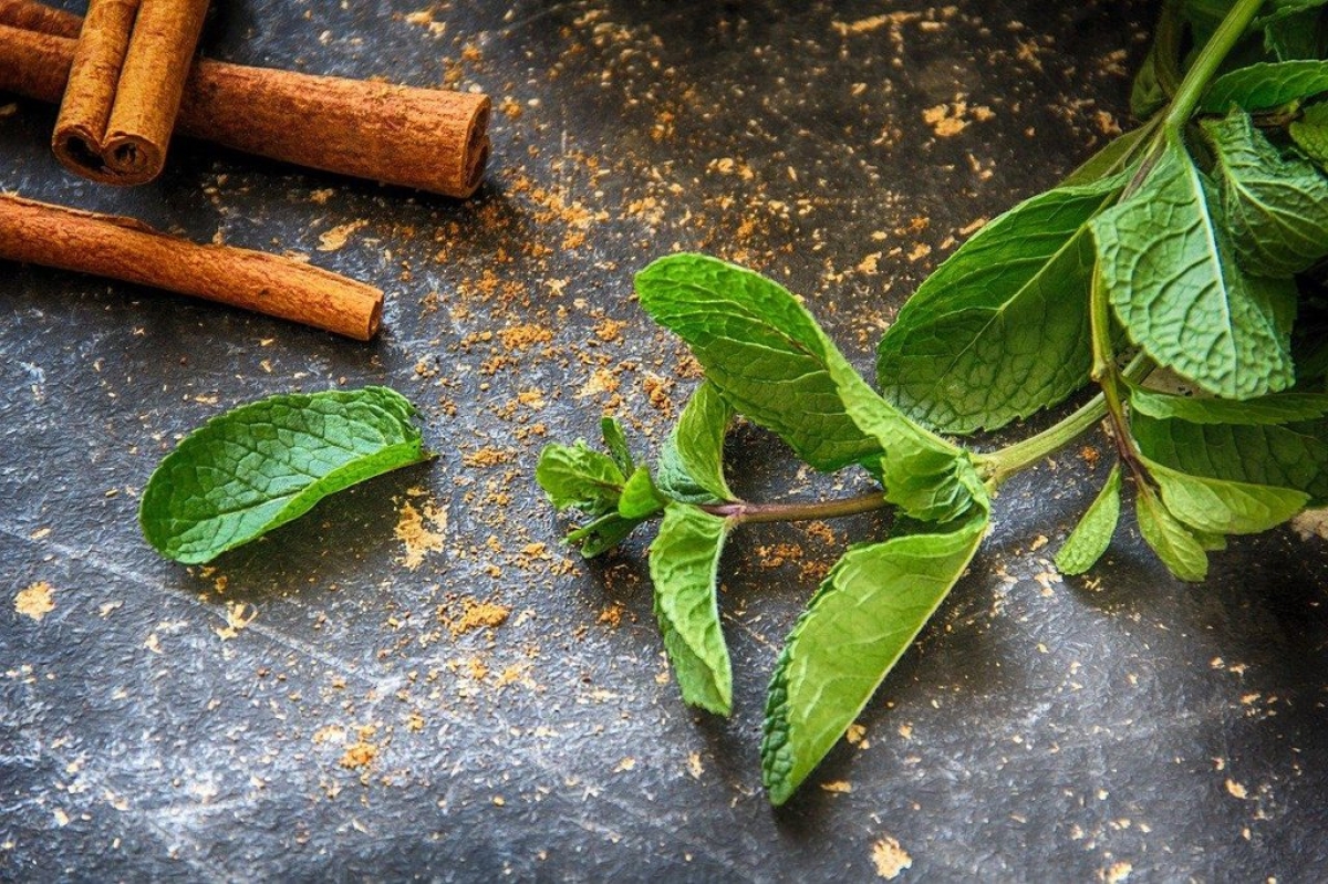 ¿Quieres evitar resfriados al inicio de año? Prepara un delicioso té de hierbabuena con canela
