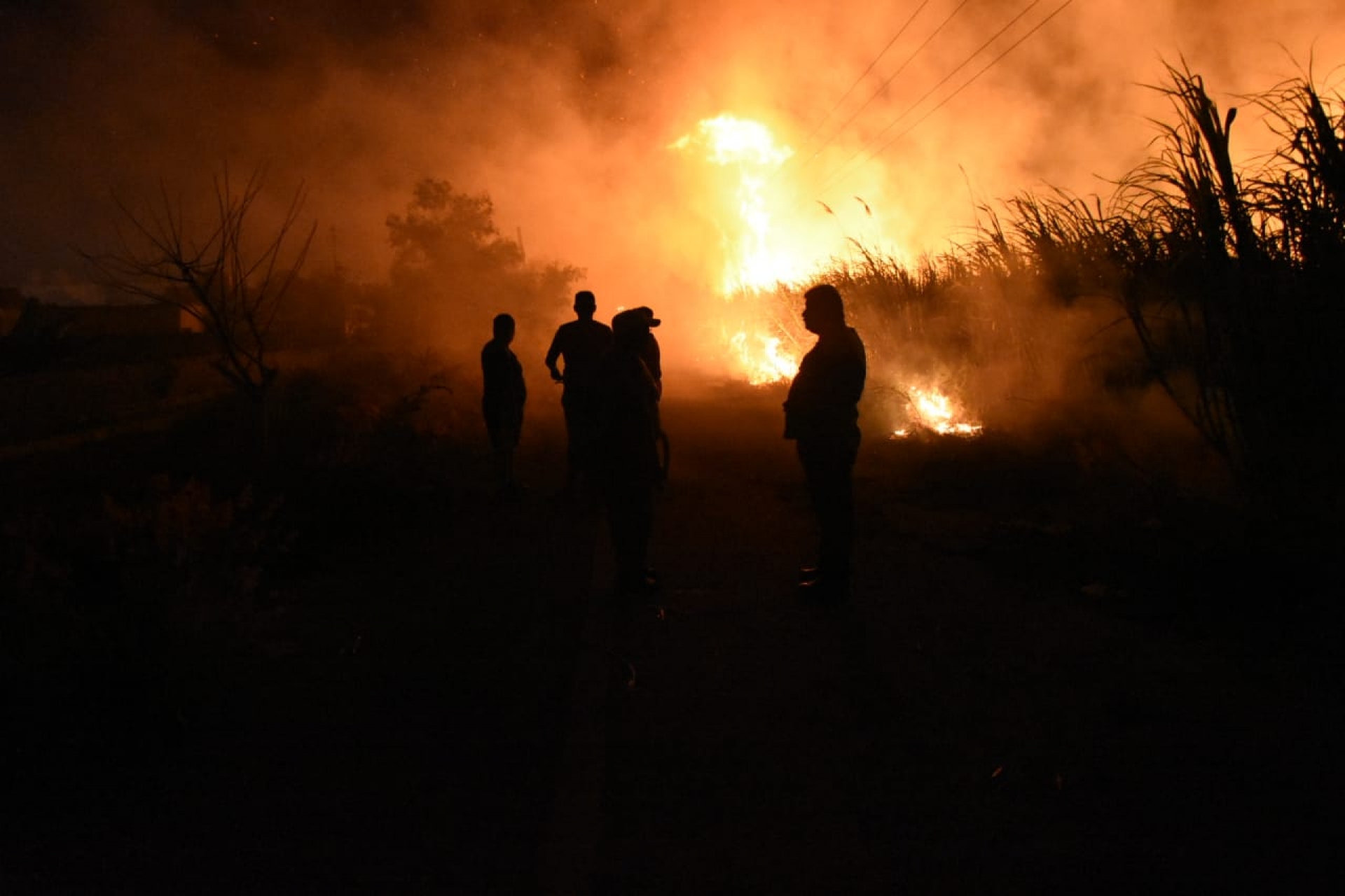 Arrasan llamas plantación de cañas, en Tlaquiltenango