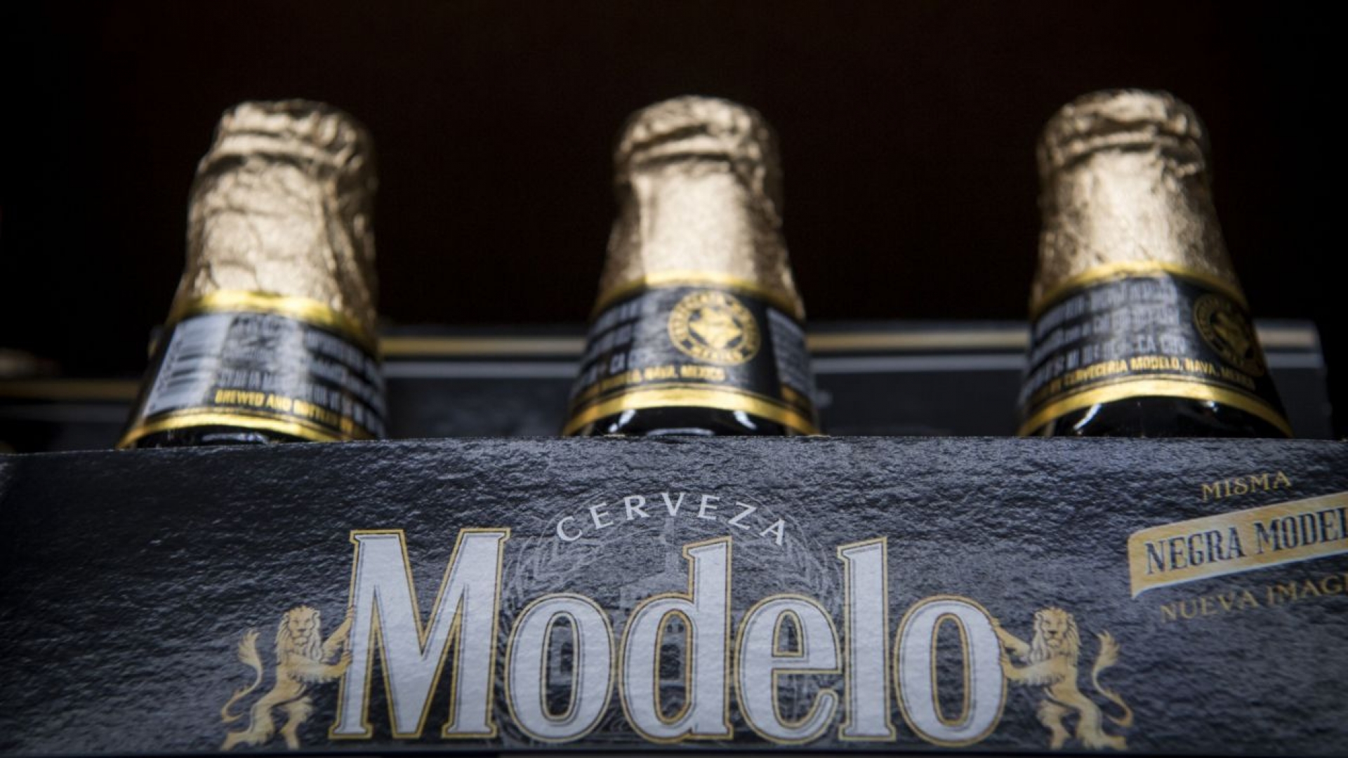 Modelo prepara 'chela pospandemia' con cebada comprada a productores mexicanos