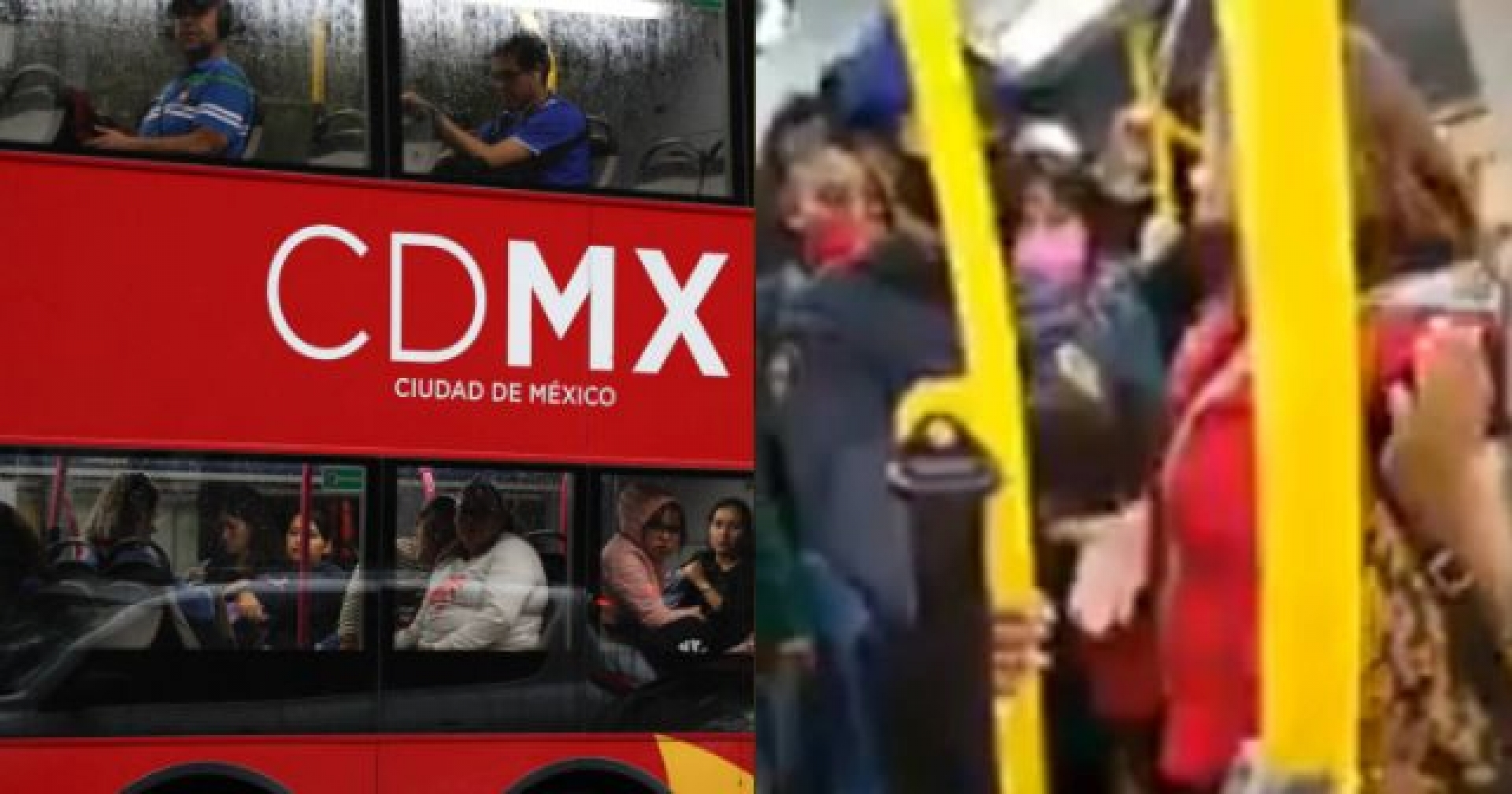 #LadyPerro insulta a policía en el Metrobús por no dejarla viajar con su mascota