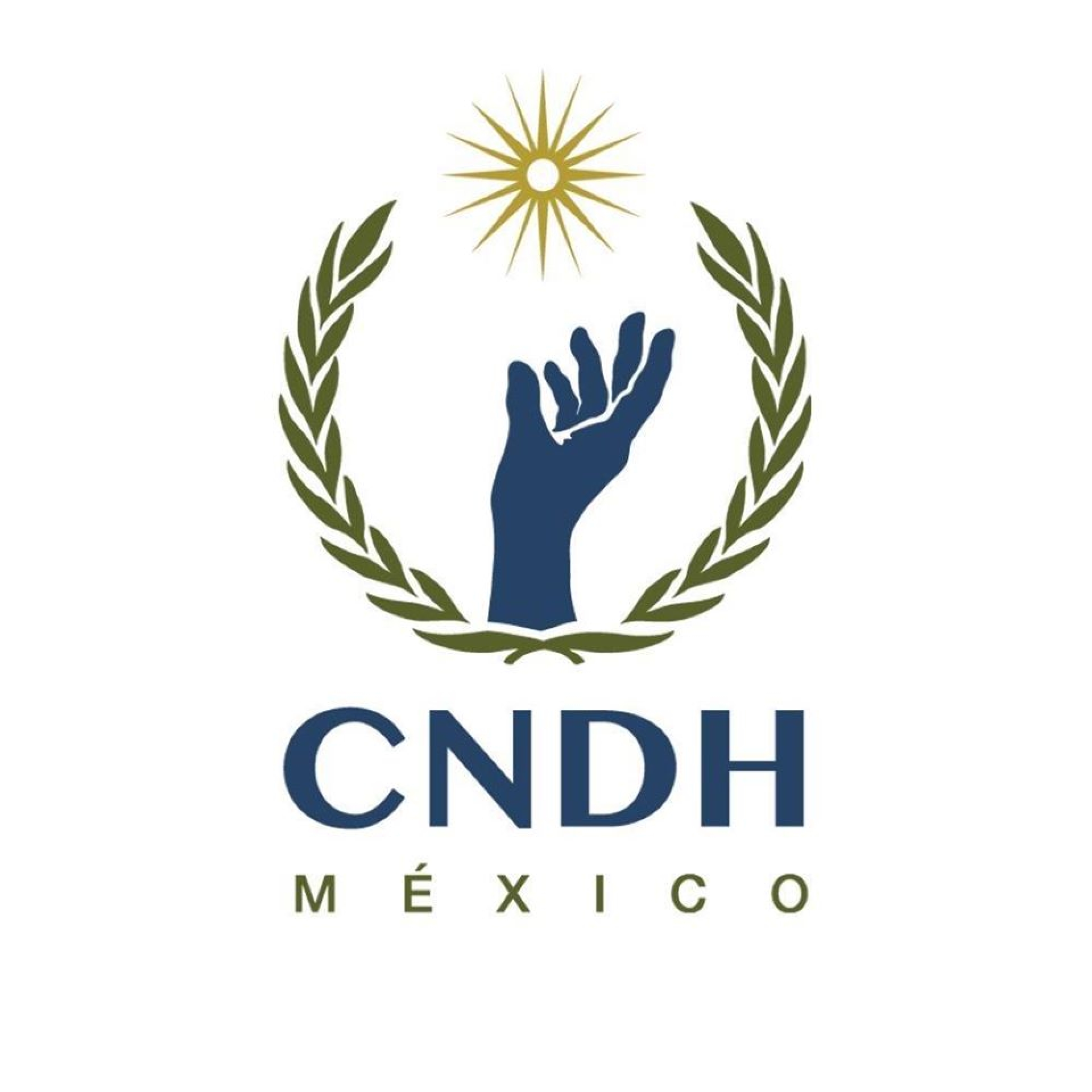 Solicita CNDH medidas cautelares para prevenir inseguridad en normal de Amilcingo