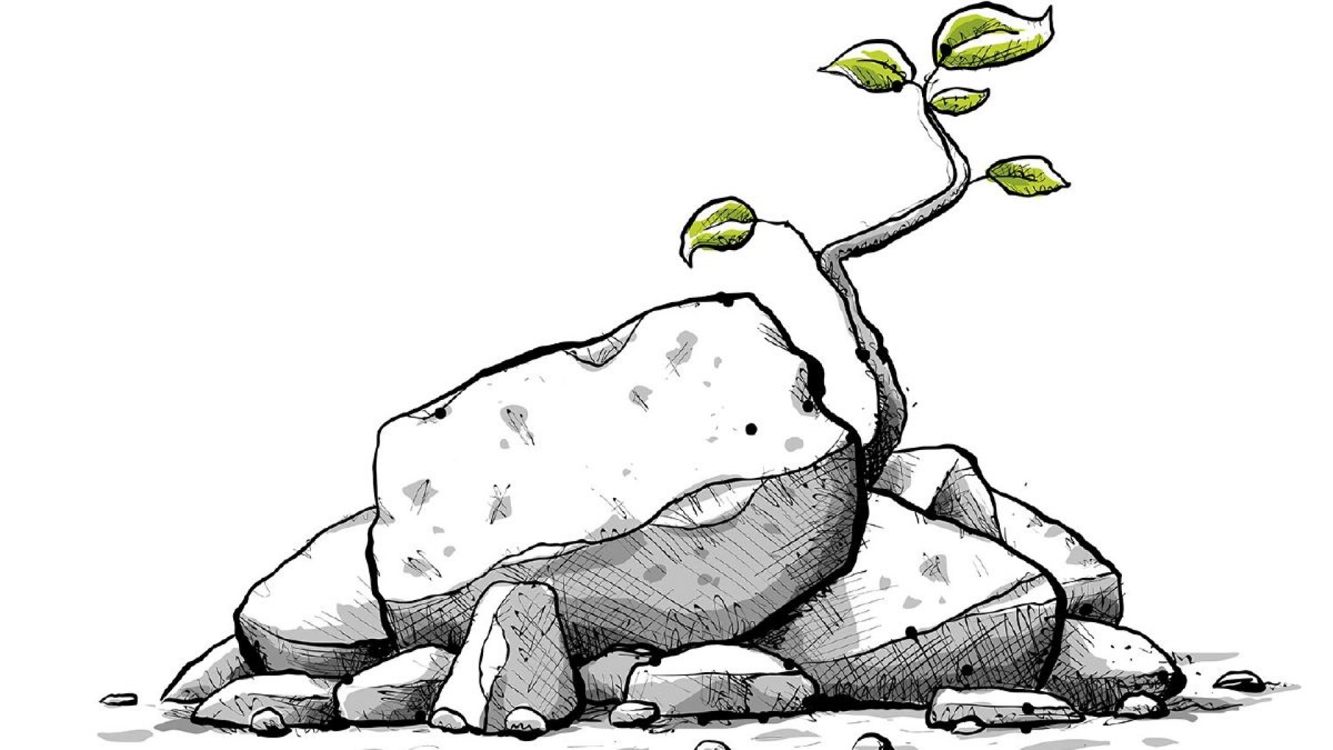 Resiliencia y cultura de la paz