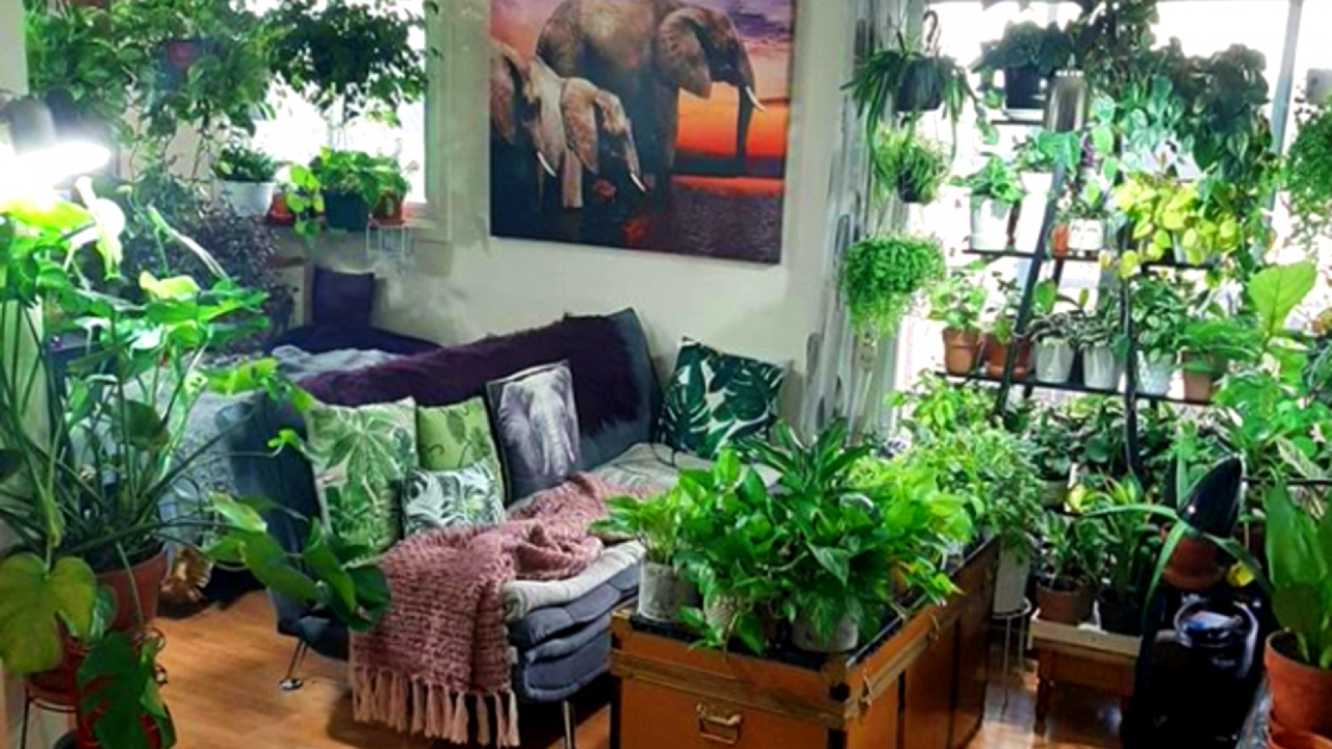 'Jungle apartment': Si amas las plantas de interiores tienes que conocer esta nueva tendencia