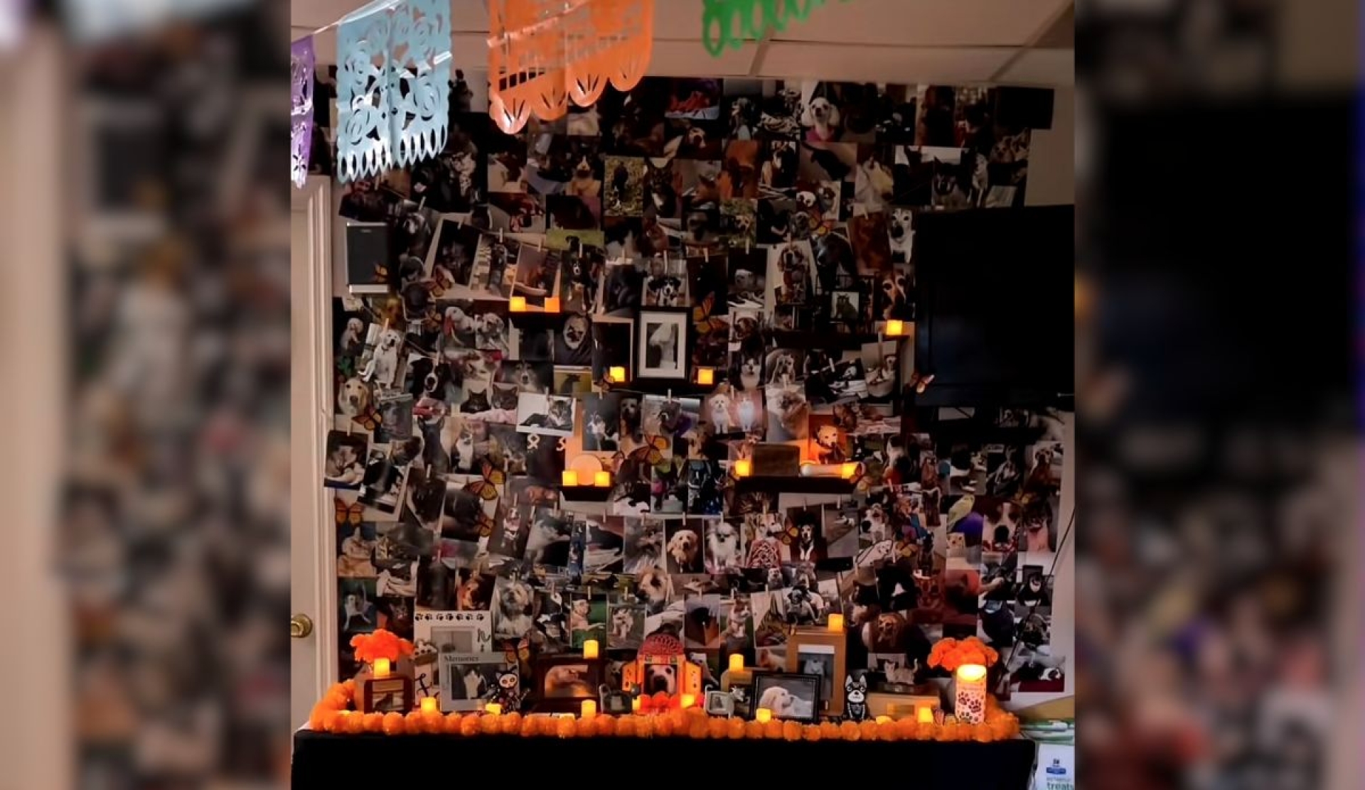 Veterinaria estadounidense hace ofrenda de Día de Muertos por mascotas y se hace viral