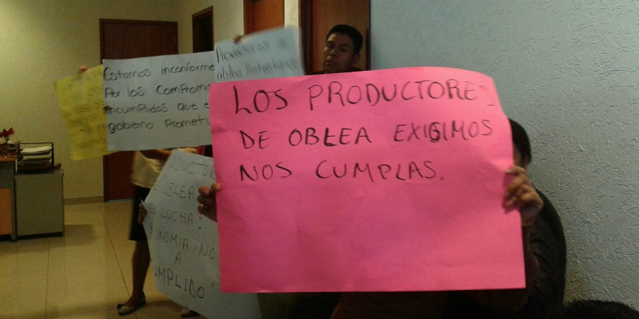Productores de amaranto se manifiestan en las oficinas de la Secretaría de Economía