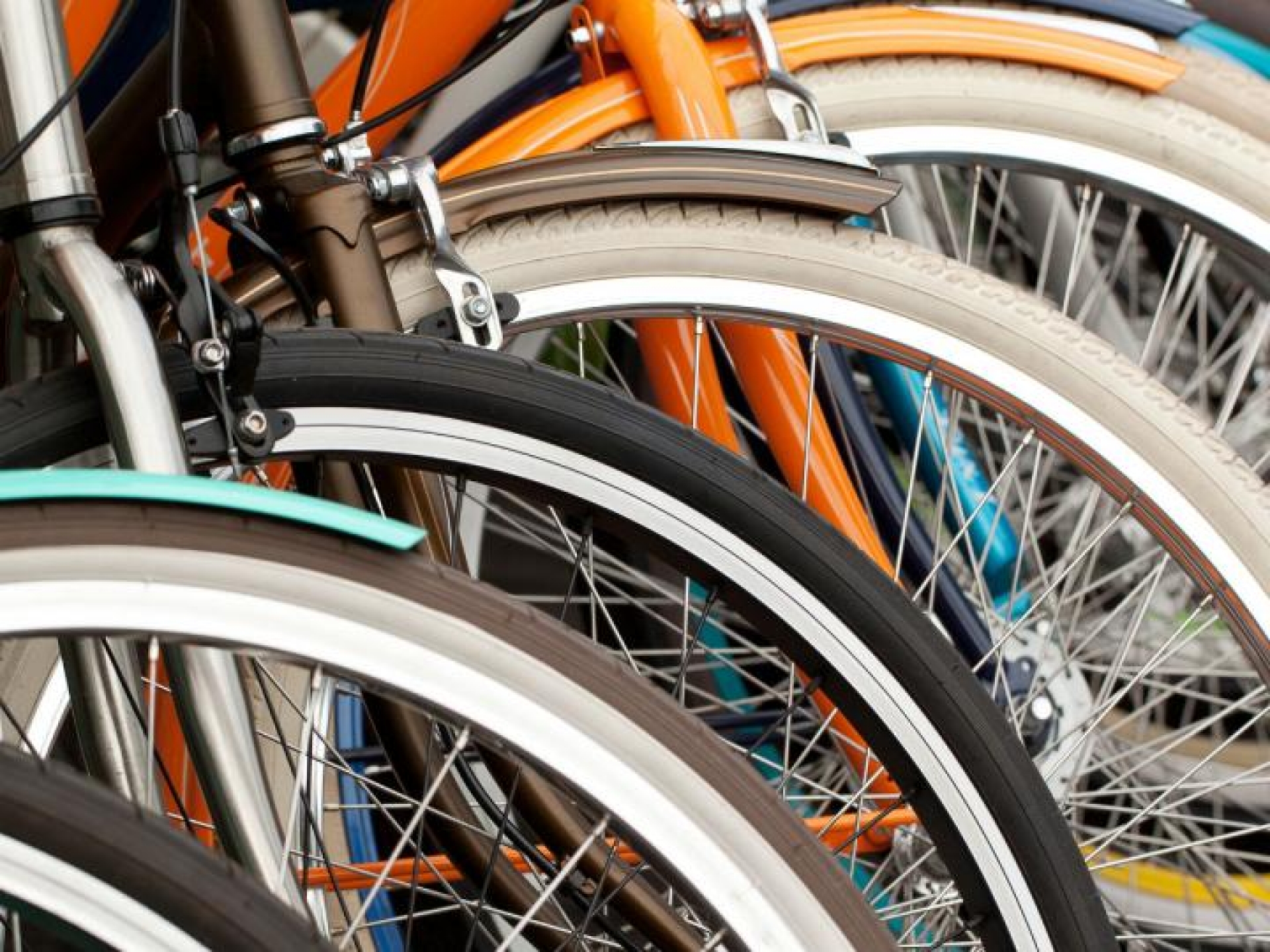 Día mundial de la bicicleta: Razones para andar en dos ruedas