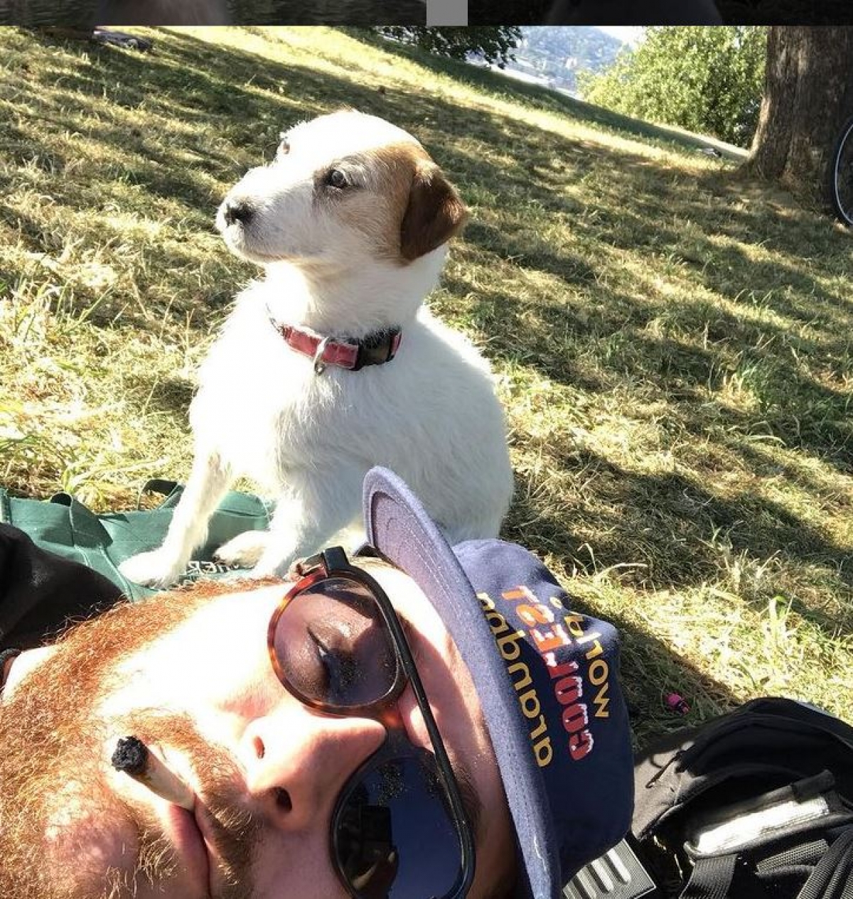 Hombre viaja por el mundo con su perro disecado y se hace viral