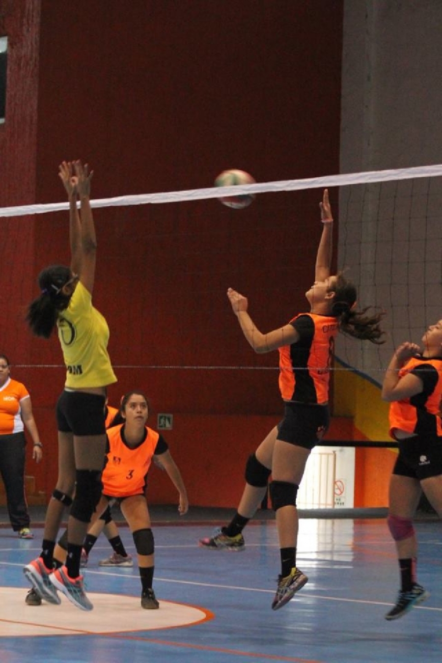 Regresa la actividad en la Liga Estudiantil de Voleibol