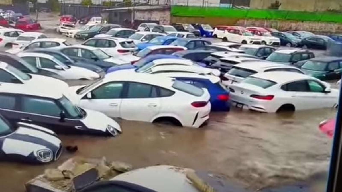 Se inunda lote de de autos de lujo tras fuertes lluvias