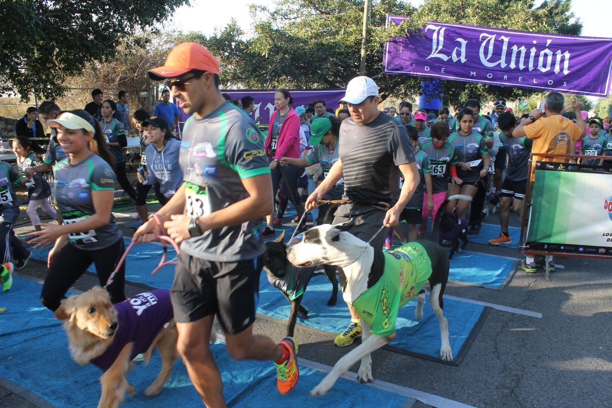 ¡Todos a correr!