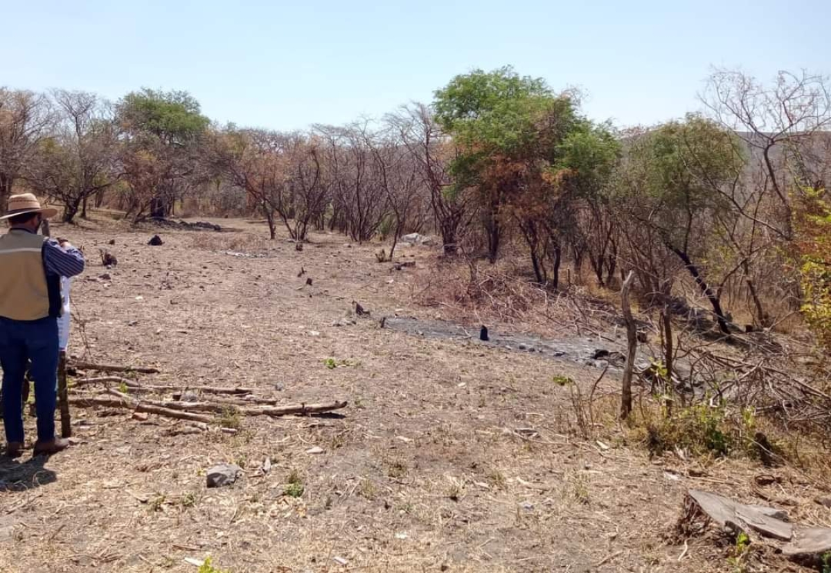Presenta Propaem denuncia penal por daños en Sierra Monte Negro