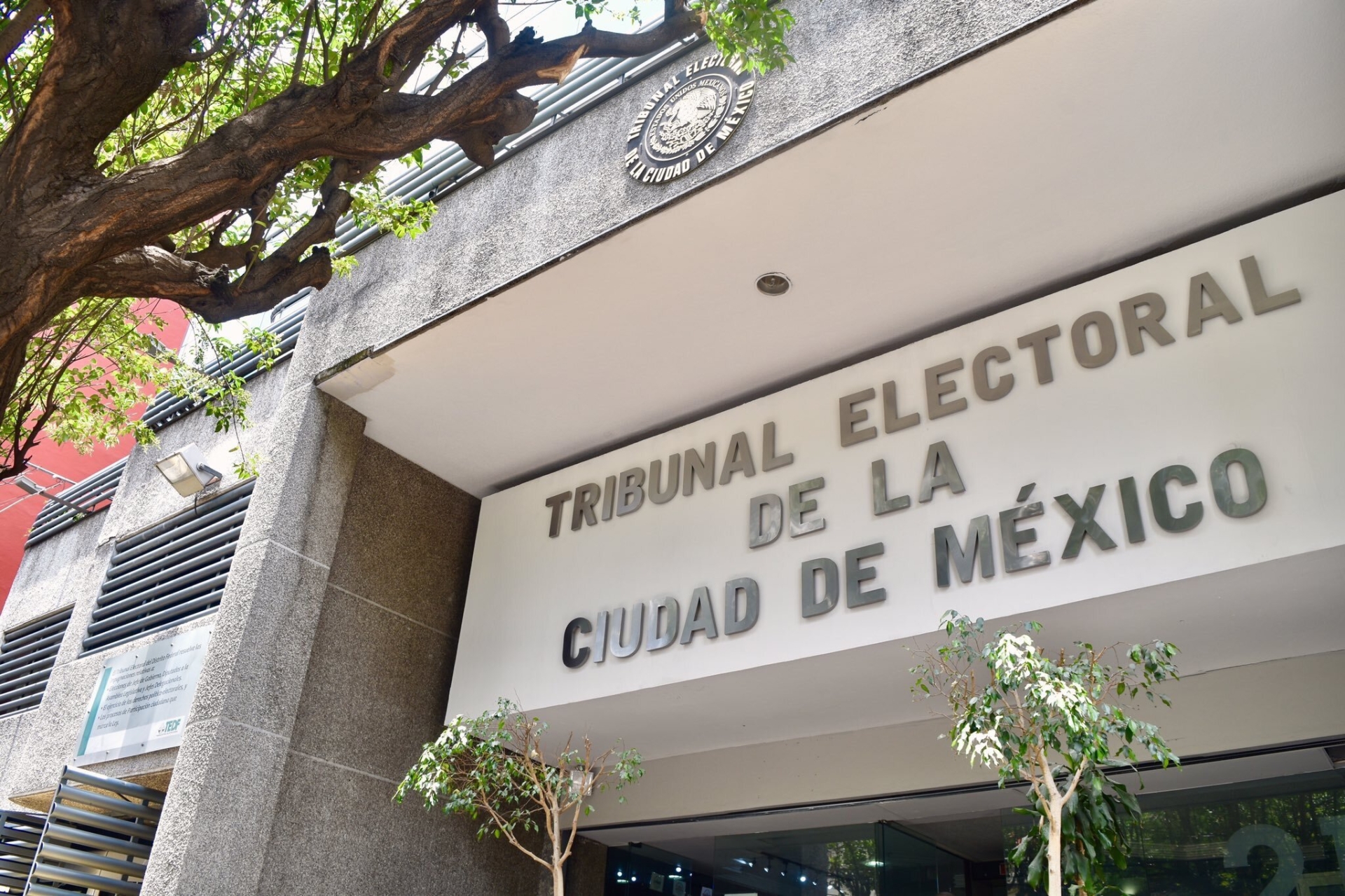 Tribunal Electoral CDMX ordena nuevo recuento de votos en Cuauhtémoc