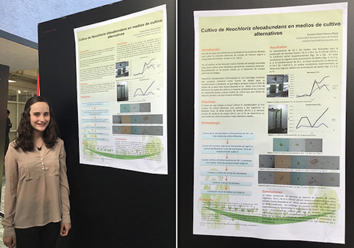 Estudiante mexicana crea proyecto de cultivo a gran escala y amigable con el medio ambiente