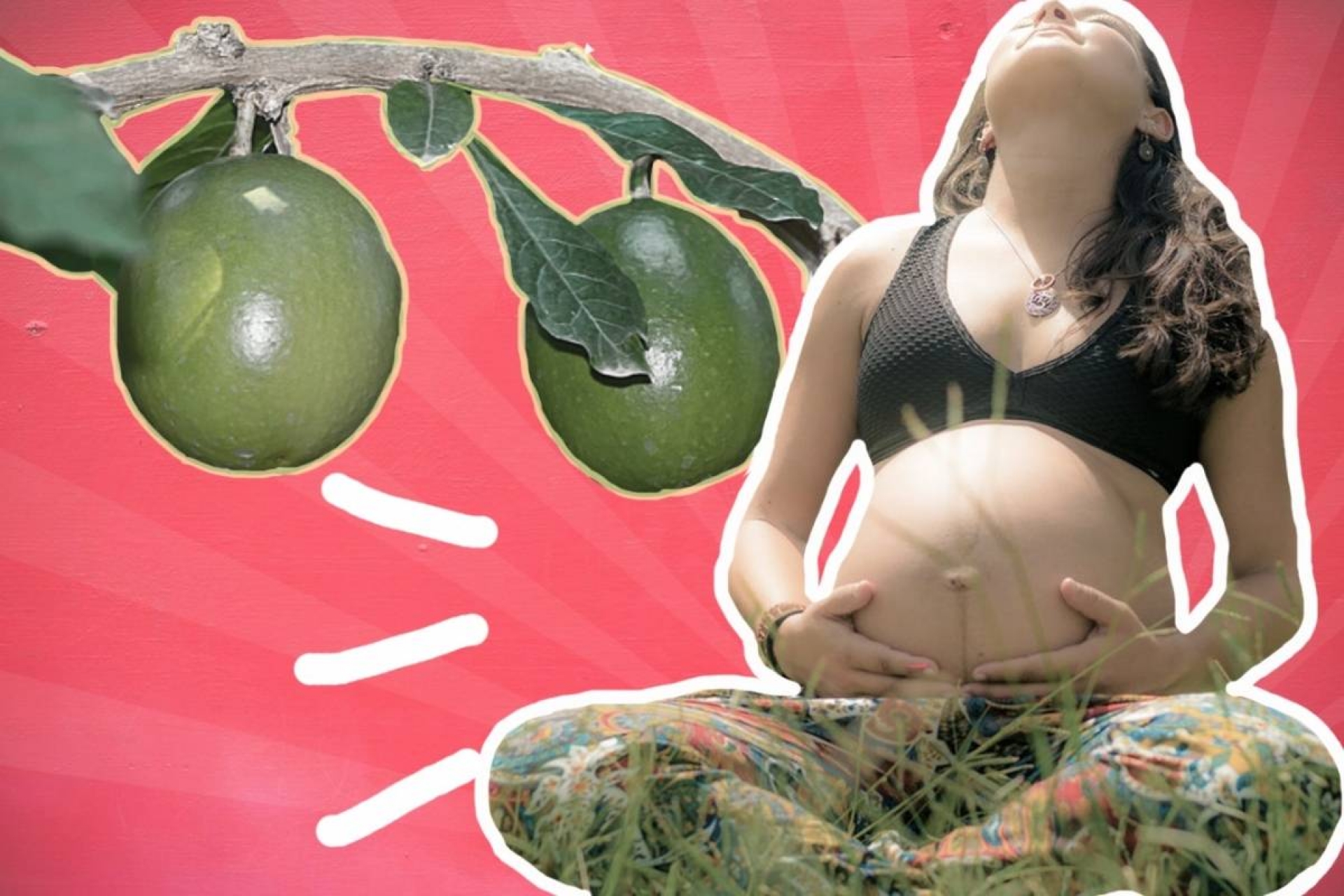 ¿Qué es la miel de güira?, conocida como la miel que hace que te embaraces