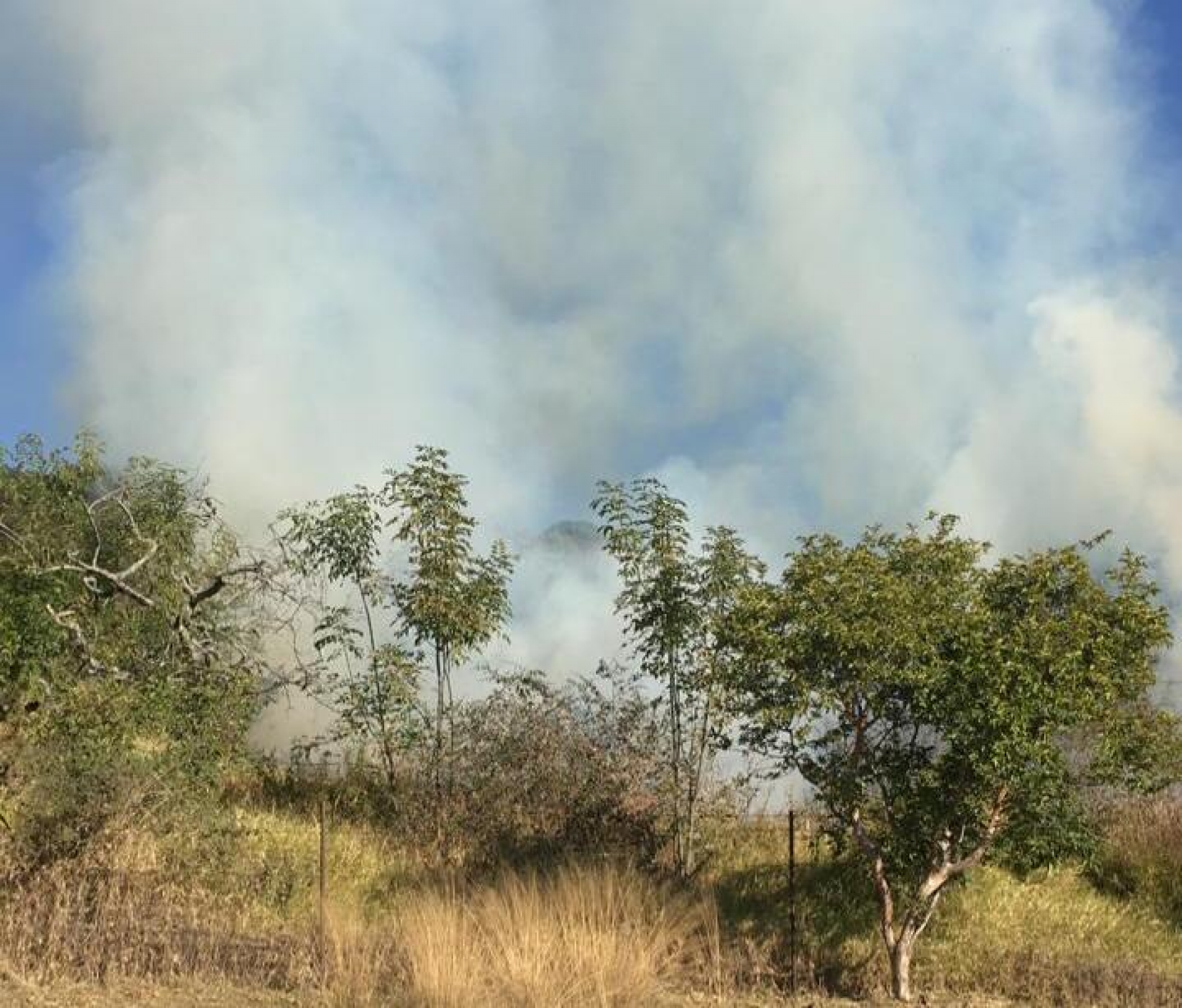 Colaboran brigadas para sofocar incendio forestal en Ahuatepec