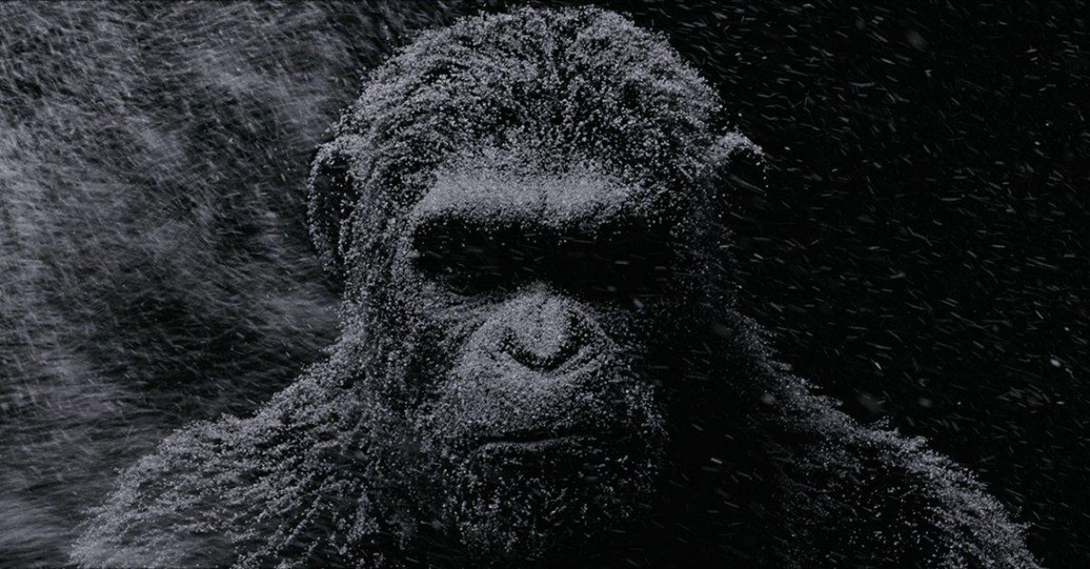 Lanzan trailer de "War for the Planet of the Apes"