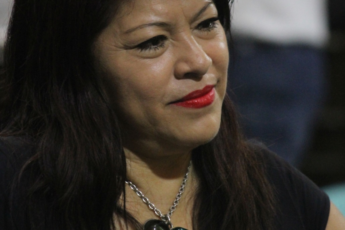 Diputada pide acelerar reconstrucción de escuelas