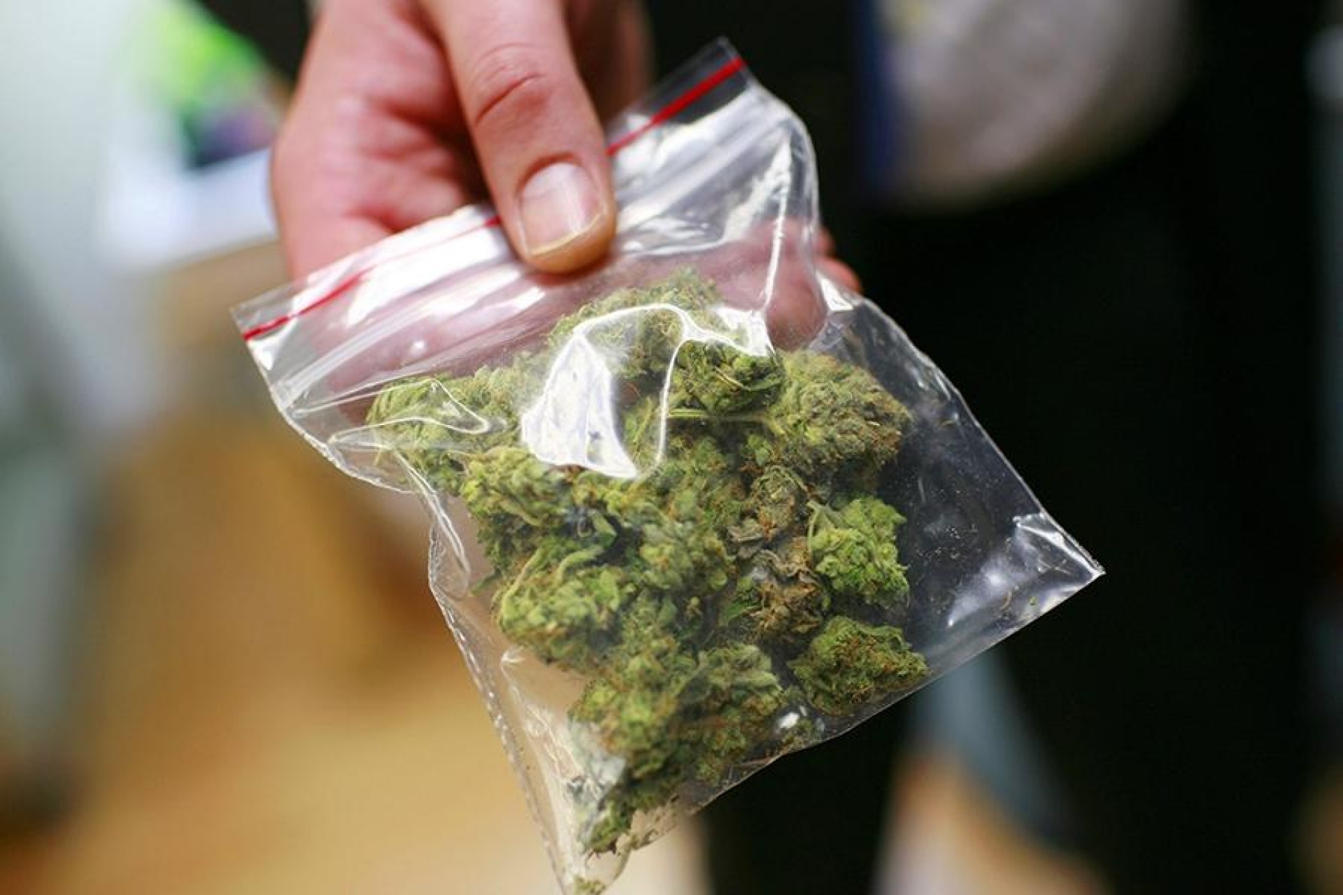 Ahora se podrá llevar hasta 200 gramos de marihuana en el bolsillo