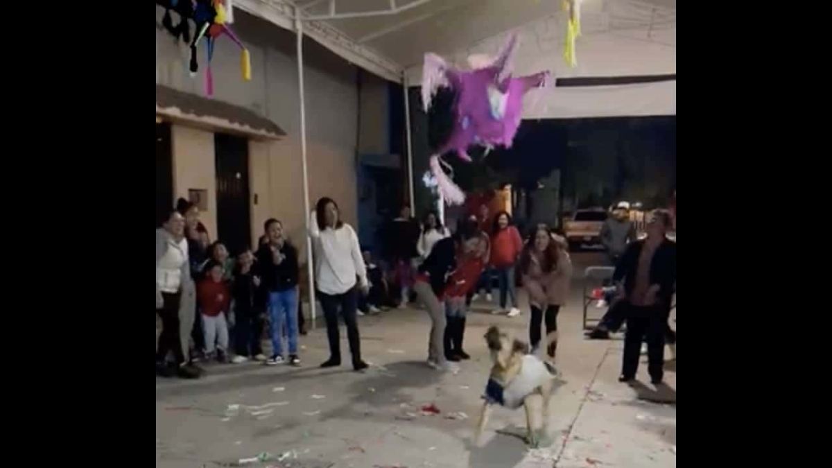 Perrito rompe la piñata en una posada