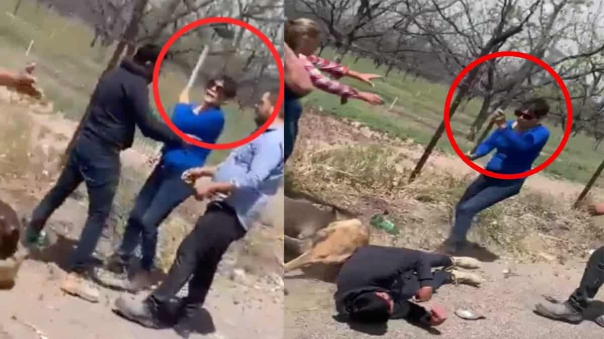 Lady Azadón: Mujer fractura el cráneo de un joven y golpea a un perro