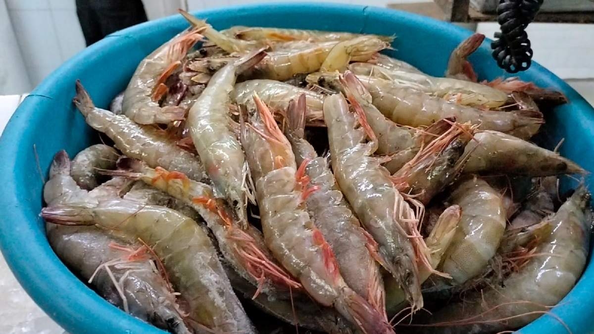 Sin despuntar, las ventas de mariscos en los mercados de la región oriente