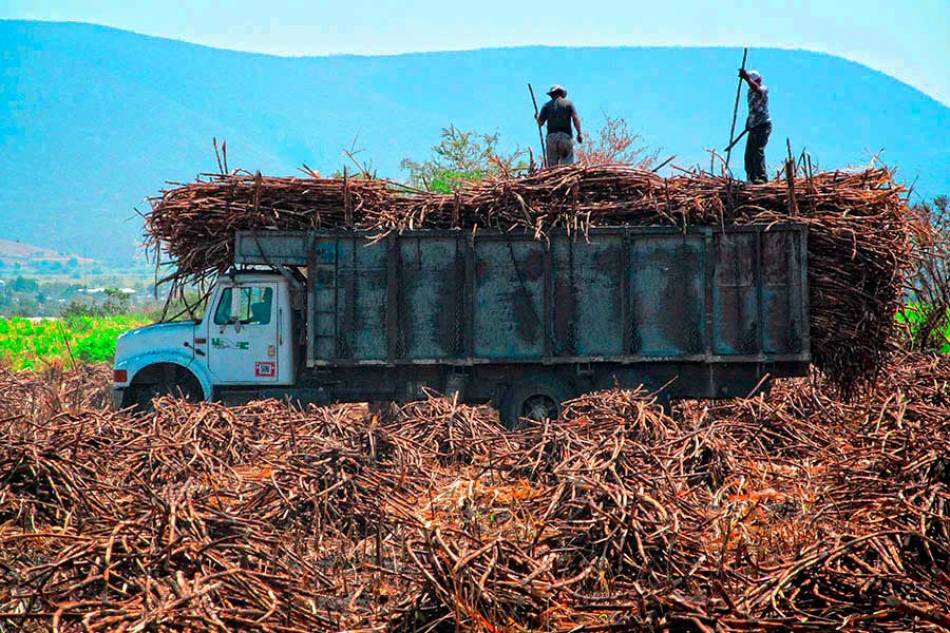 Confirma Sagarpa apoyo a productores cañeros