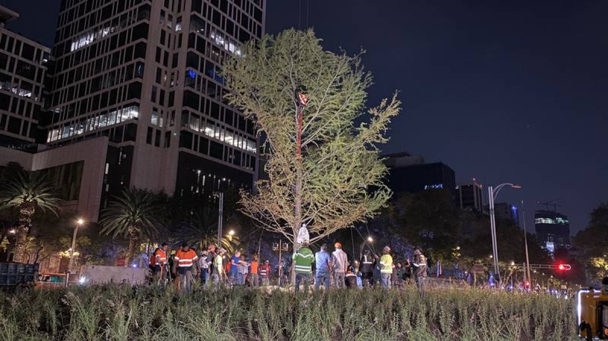 ¡'Ahuehuetazo’!: Conductor choca contra glorieta del ahuehuete