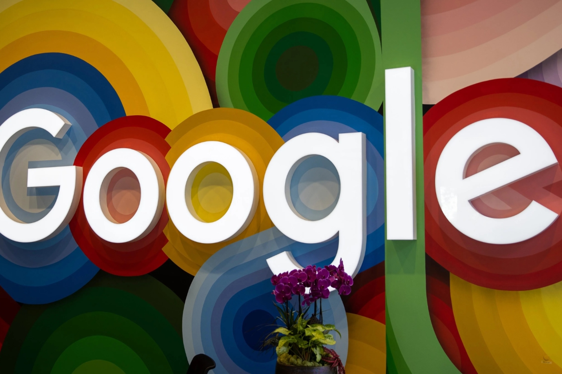 Google busca reducir la ventaja de Nvidia en software de IA con apoyo de Meta