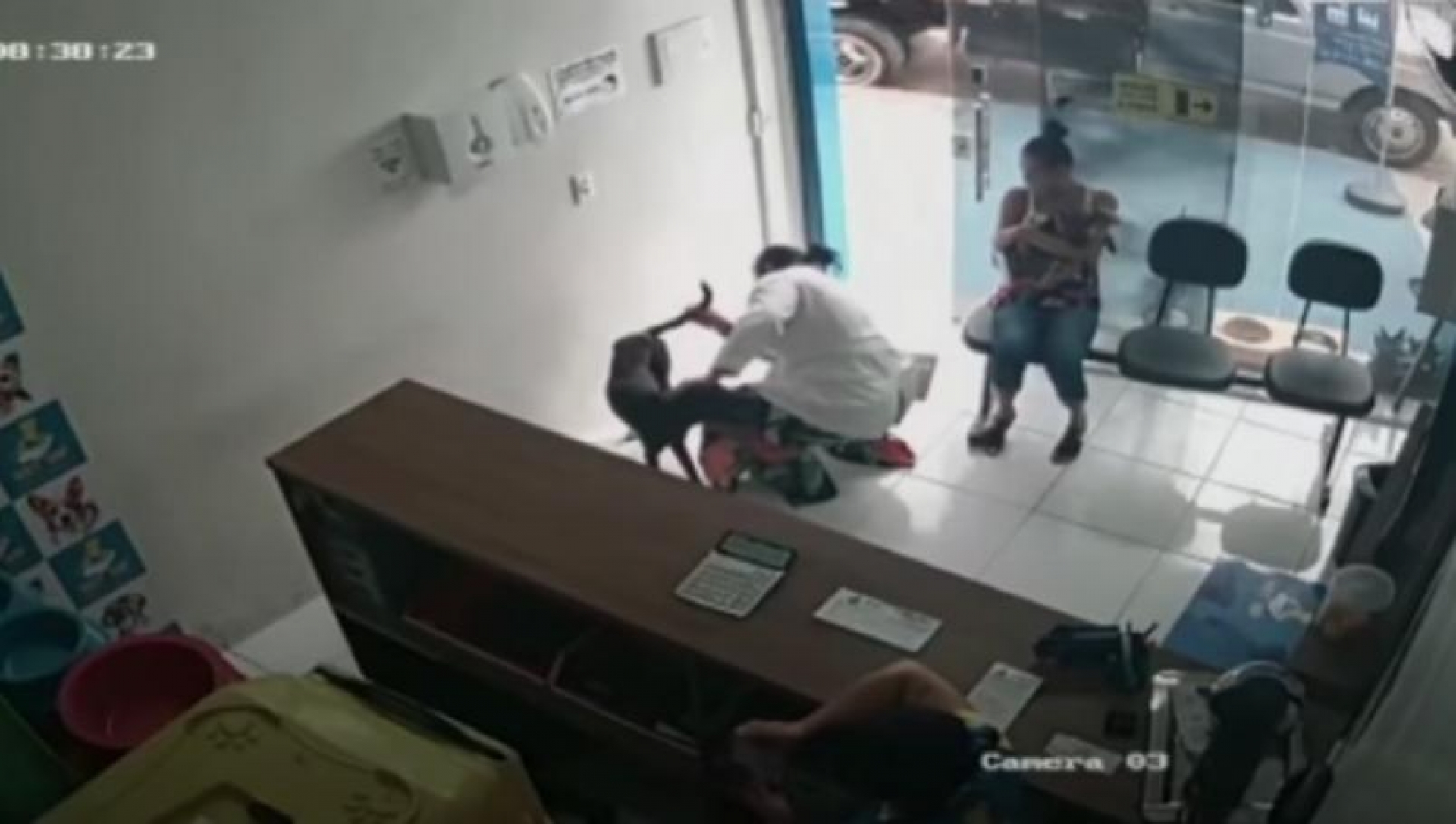 Perro herido pide ayuda en una veterinaria