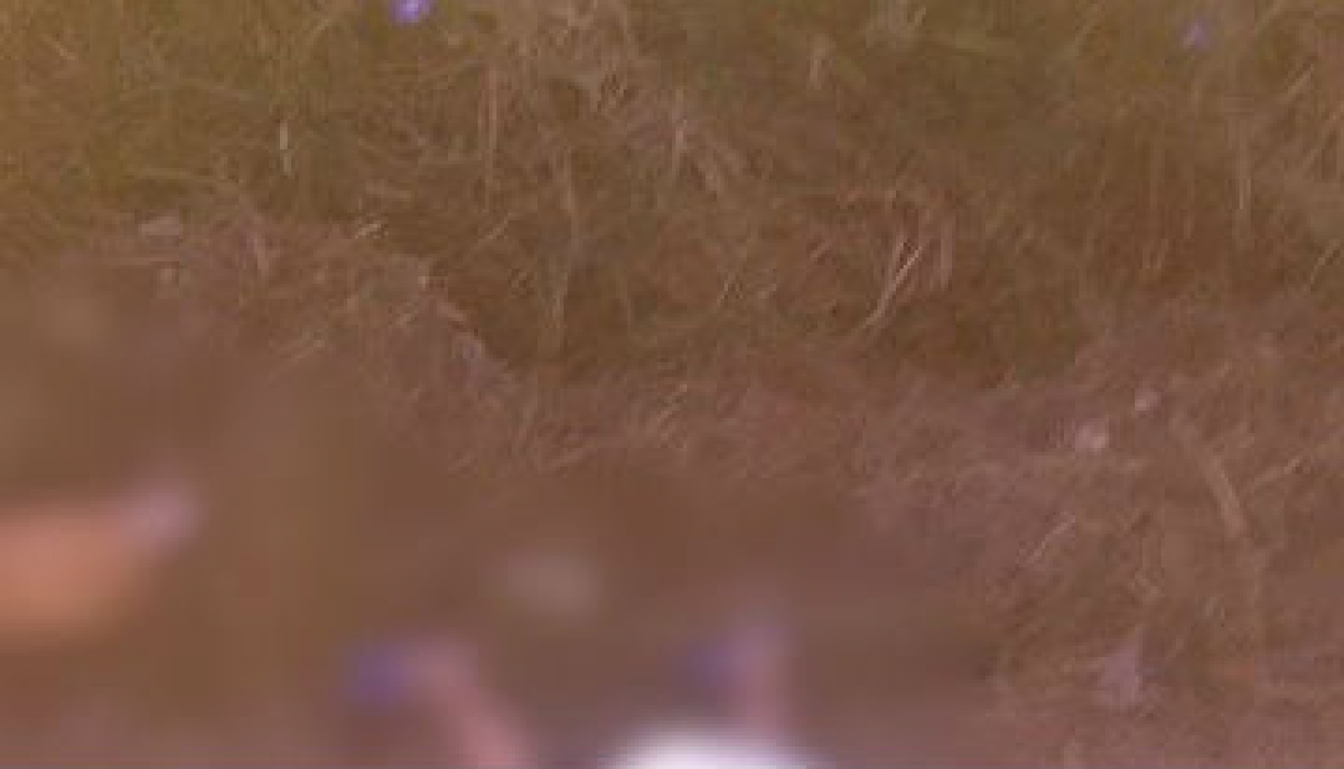 Localizan el cadáver de un hombre en la carretera local Tlaltizapán-Yautepec