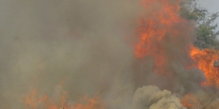 Se han registrado 37 incendios forestales, con una afectación de 206 hectáreas: SDS