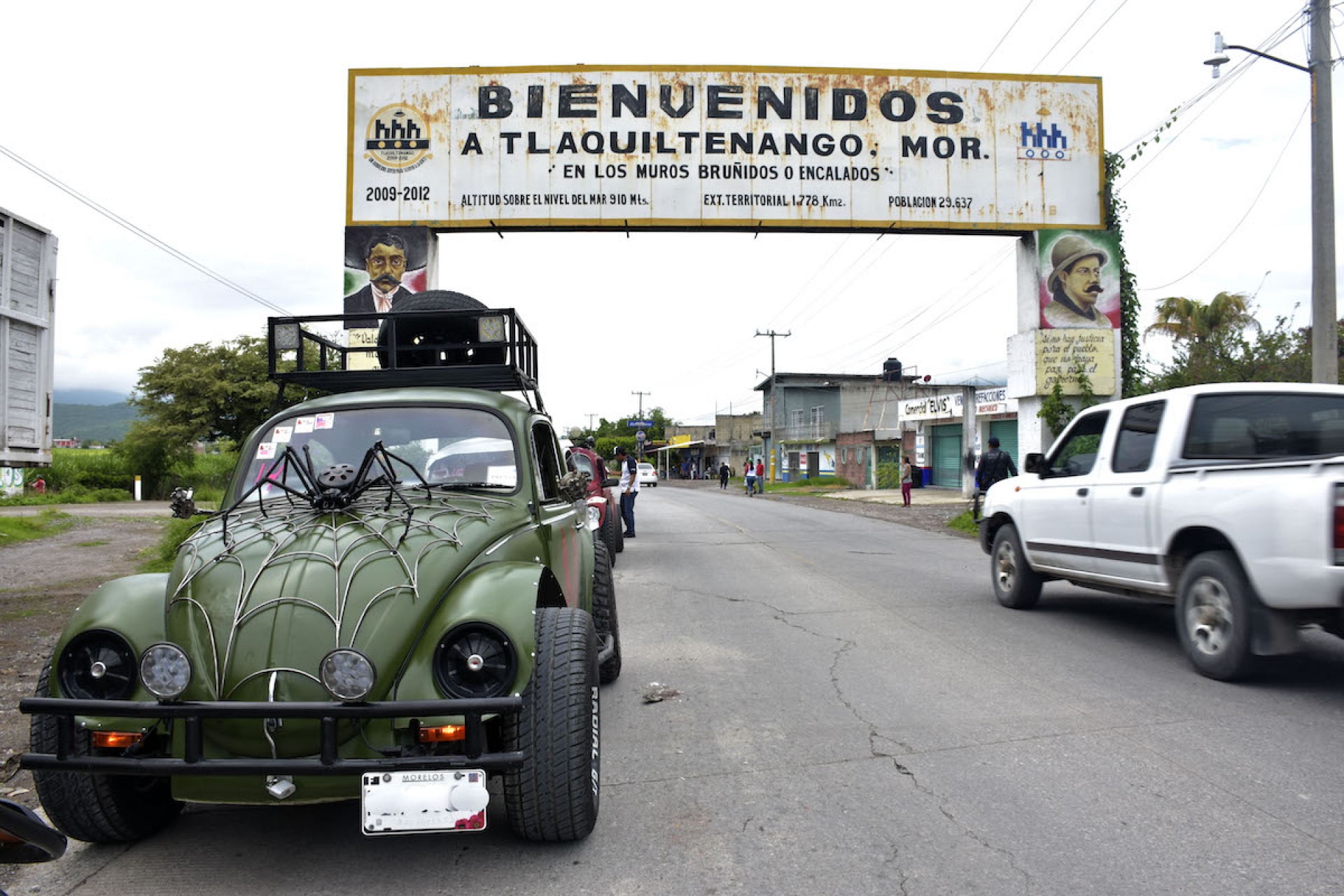 Invaden “escarabajos” el sur de Morelos