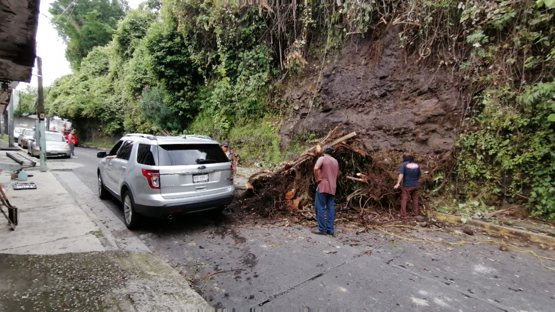 Piden ayuda vecinos de Chulavista para retirar raíz de árbol que obstruye calle
