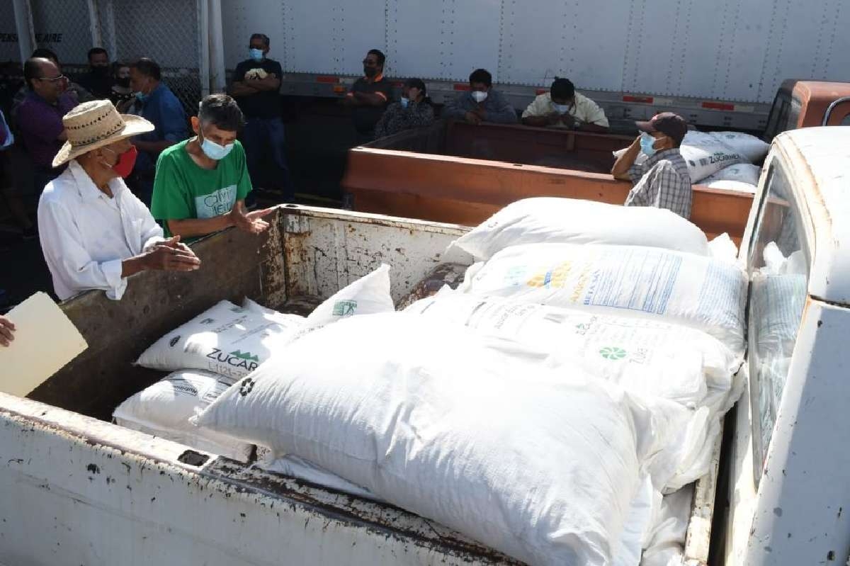 Apicultura, afectada por crecimiento de la mancha urbana