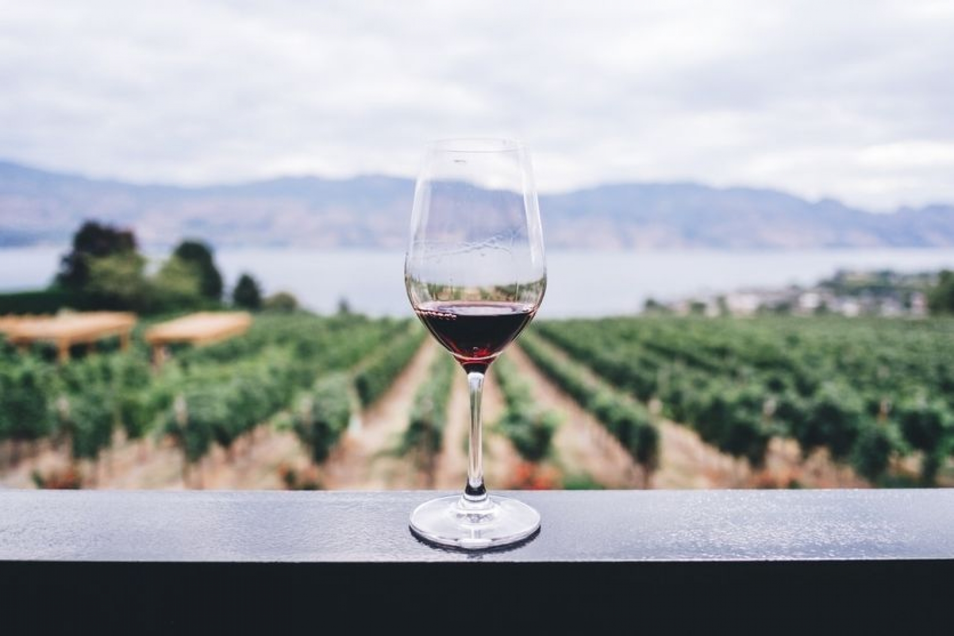La dieta con la que puedes perder hasta seis kilos tomando vino