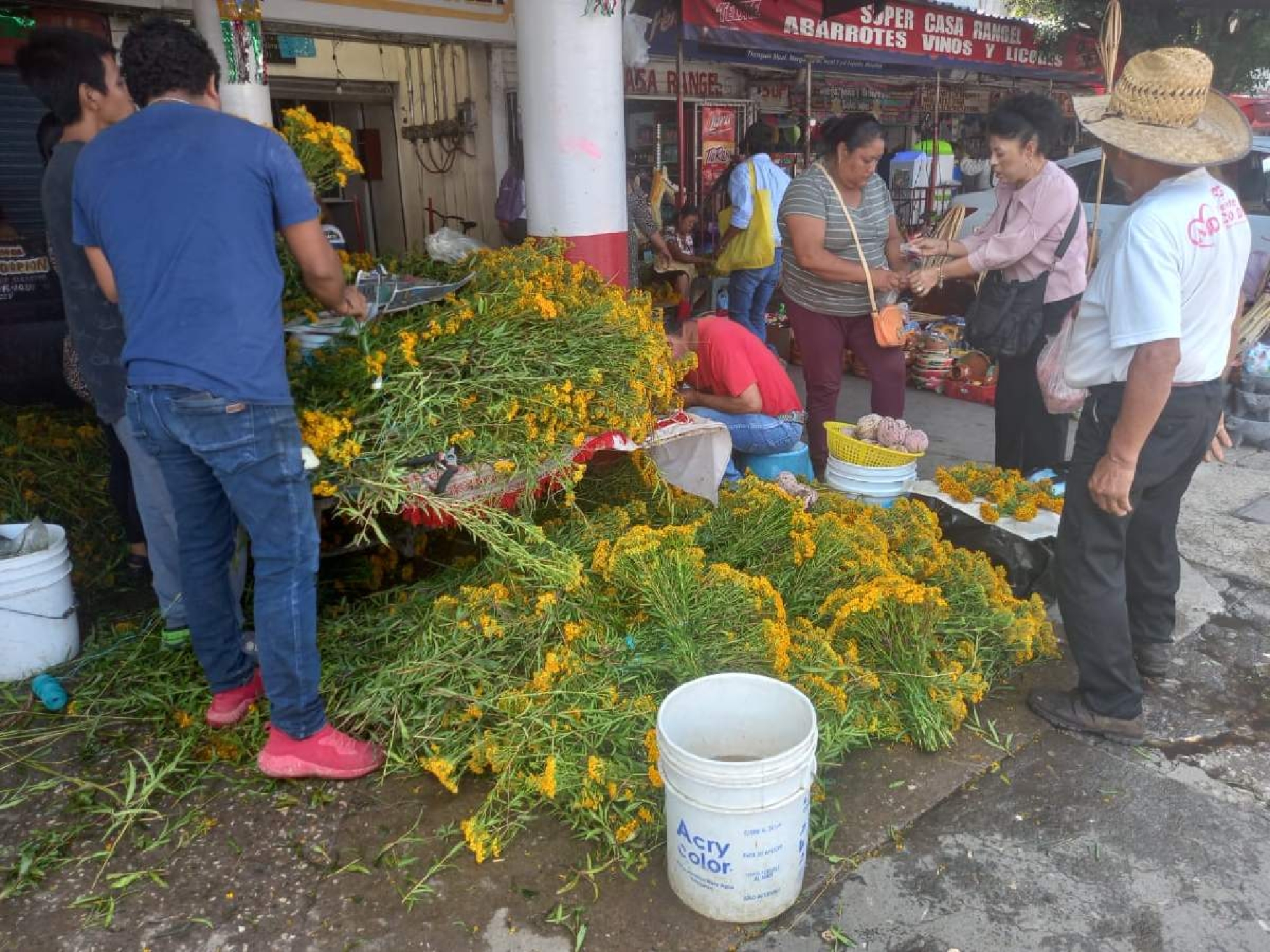 Lluvias mejoraron producción de flor de pericón
