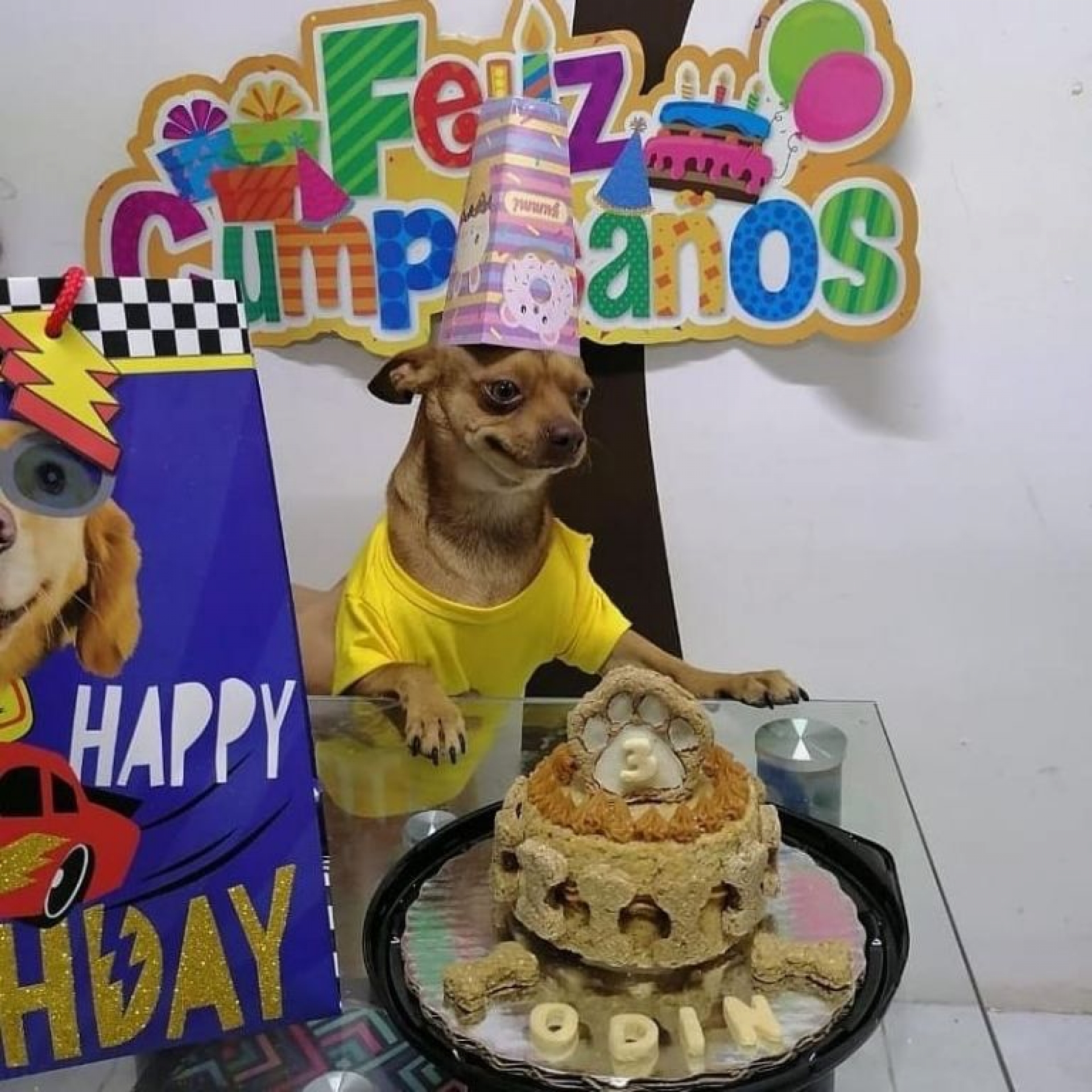 Perrito festeja su cumpleaños con pastel
