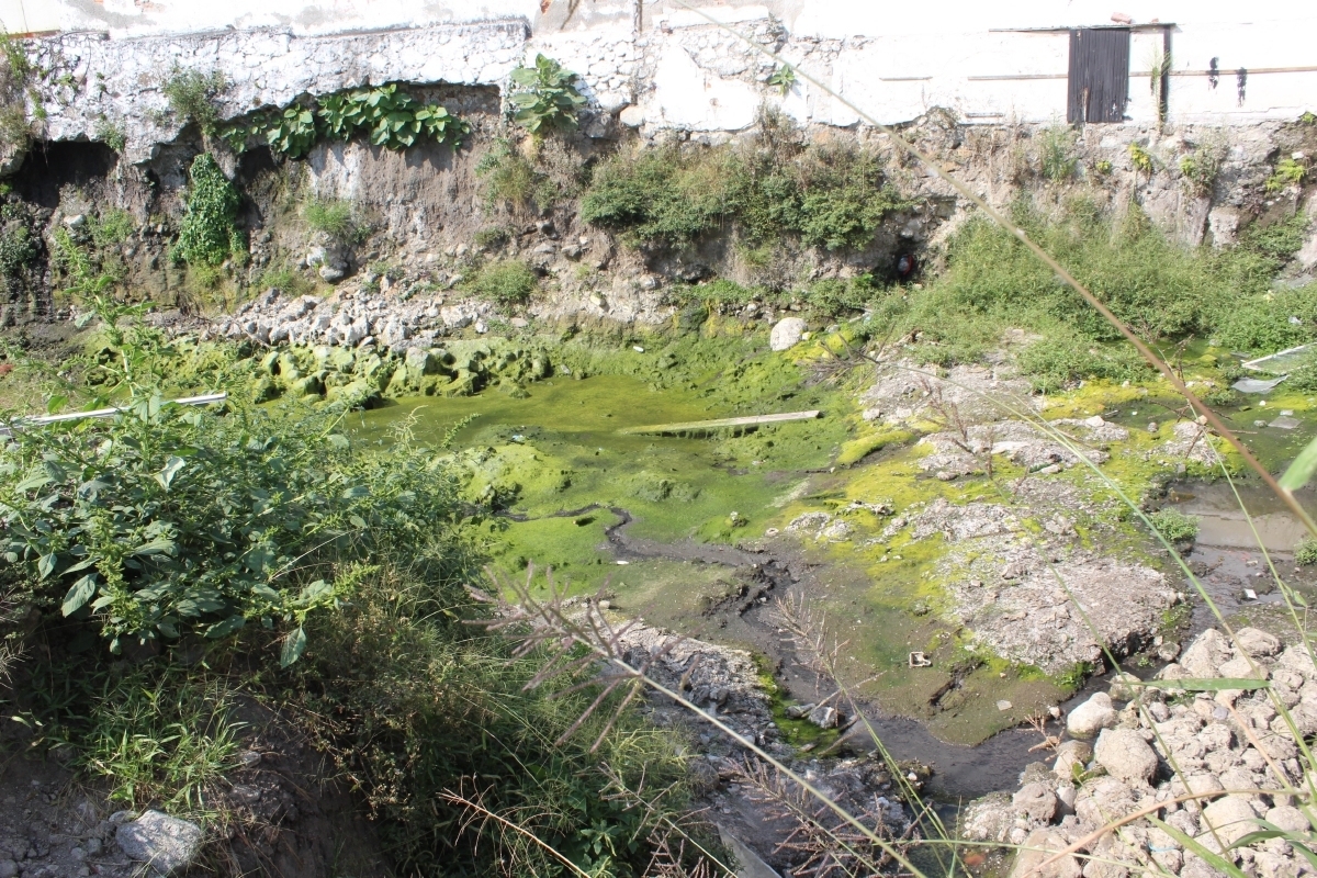 Es de drenaje el agua estancada en un terreno baldío en el bulevar Juárez