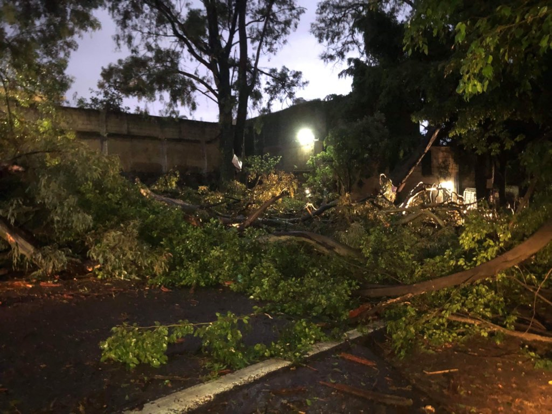 Retiró PC árbol caído que provocó el cierre de carretera México-Cuernavaca
