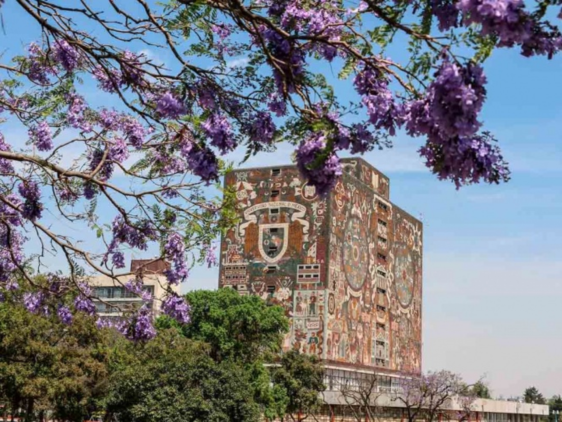 UNAM lanza campaña para donar tabletas a universitarios de bajos recursos