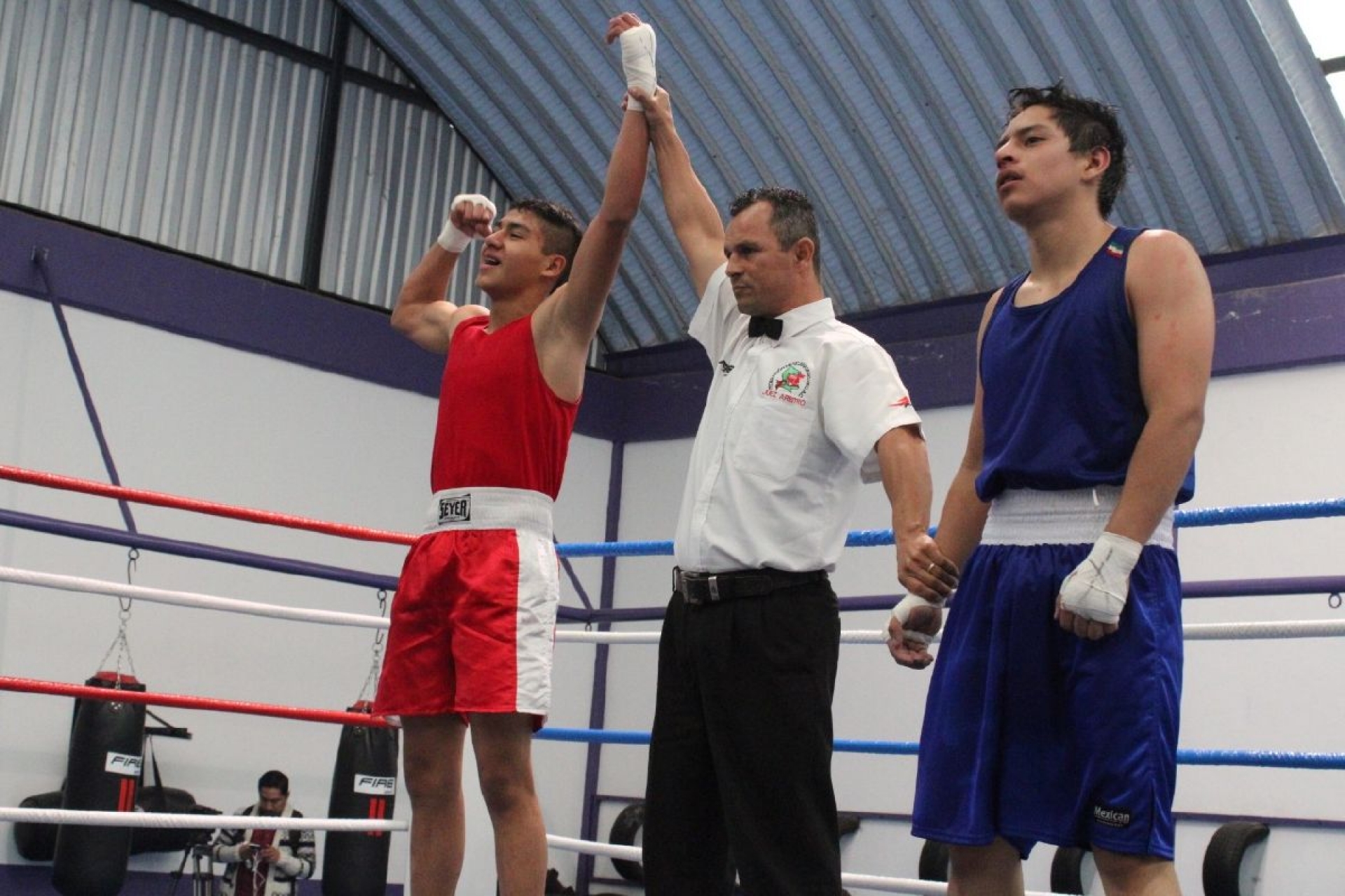 Listos para el regional de box