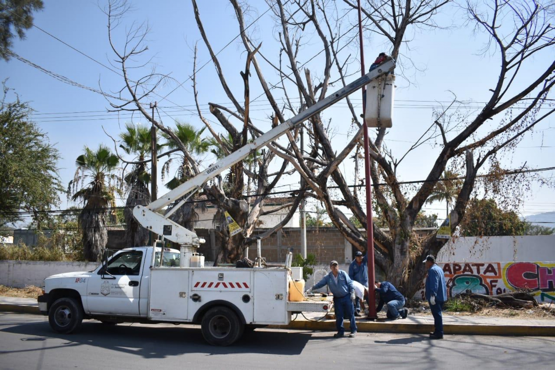 Instala Ayuntamiento de Jiutepec alumbrado en espacios públicos