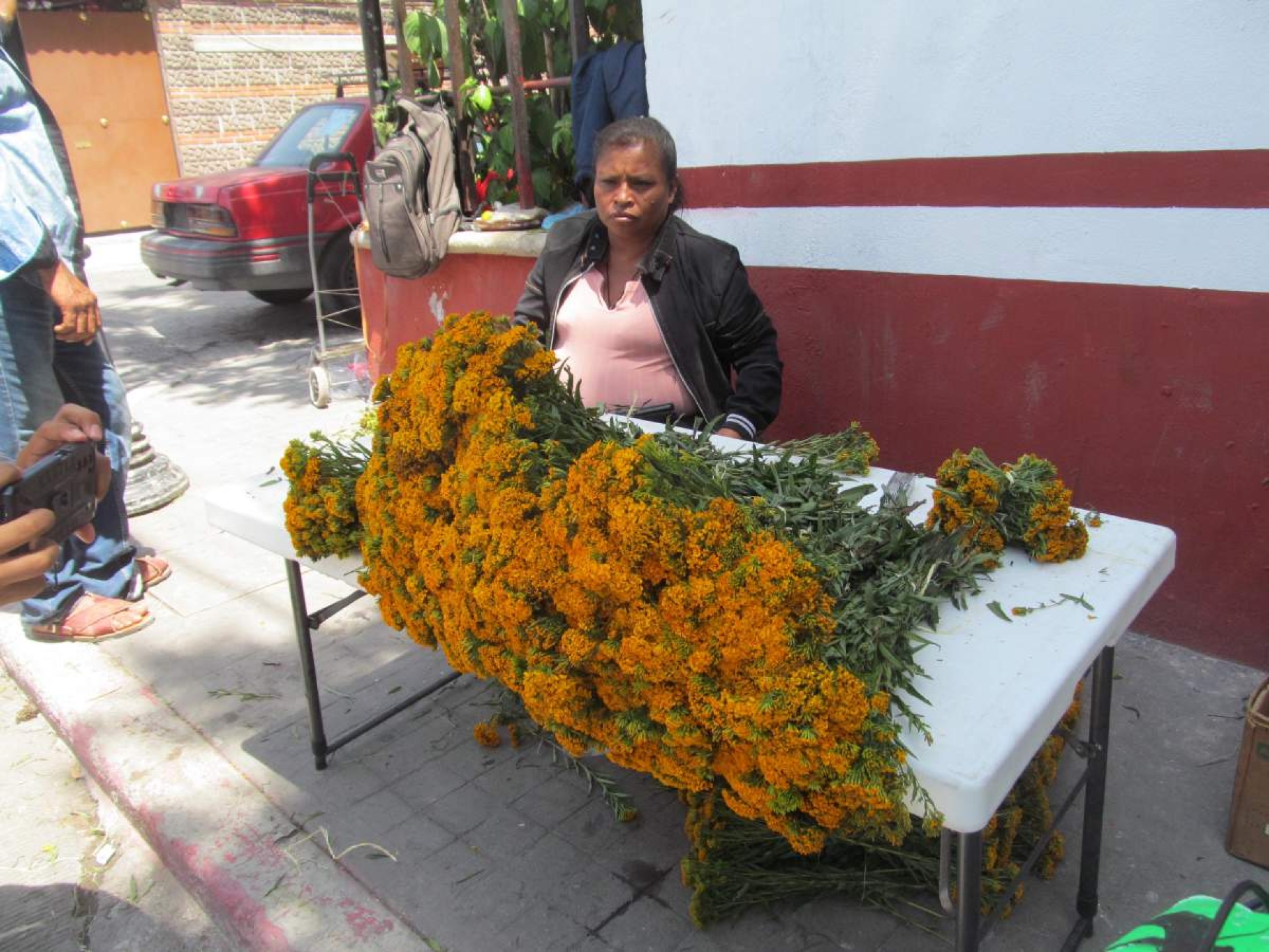 Bajan las ventas de flor de pericón