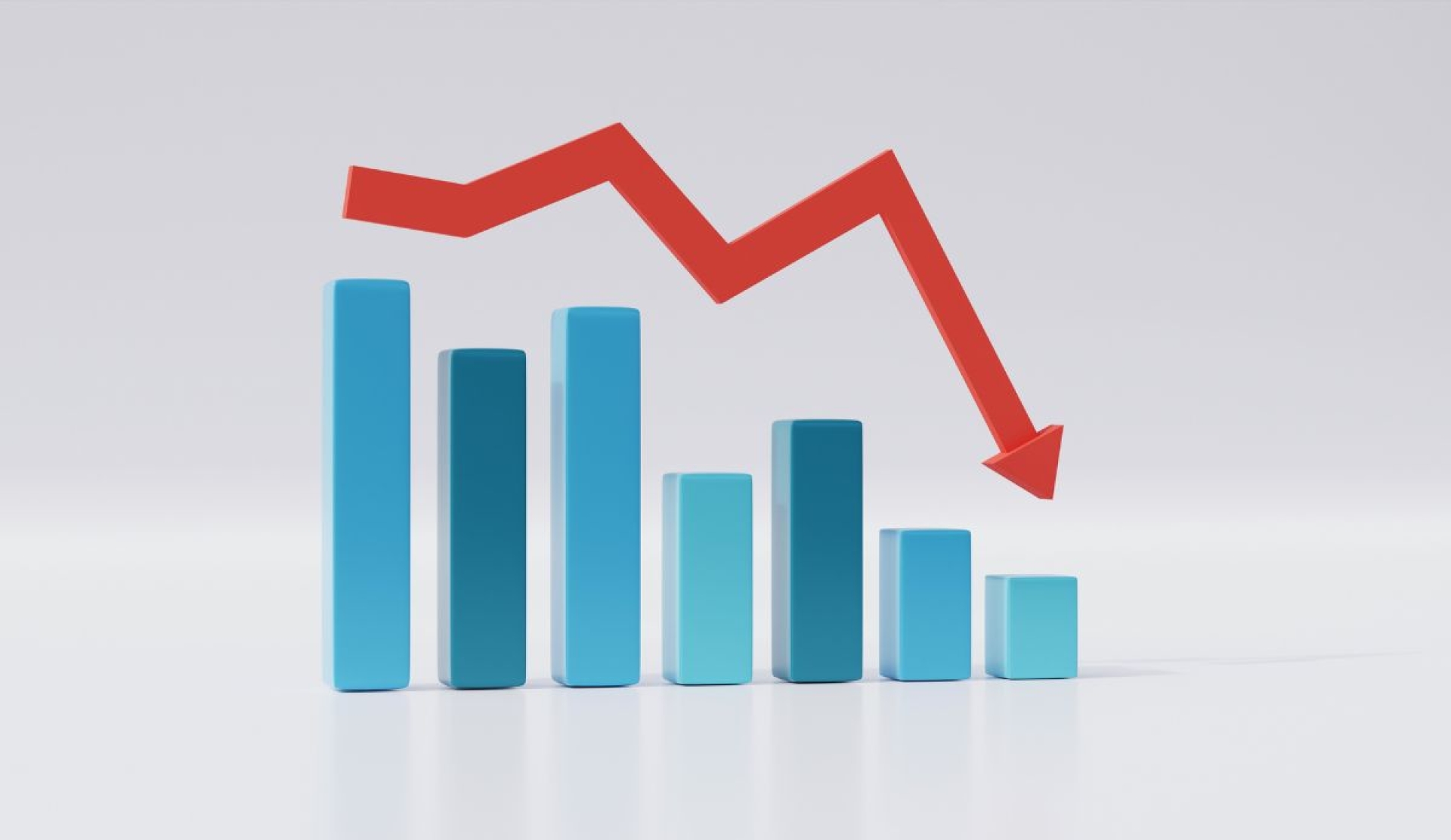 Día Mundial del Decrecimiento