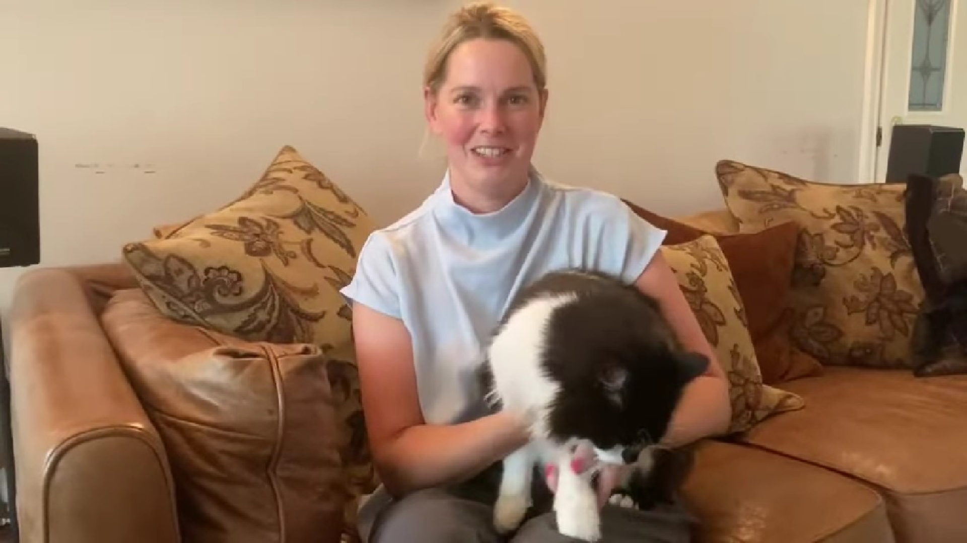 Gato "resucita" tras ser cremado: la increíble historia de Ted.