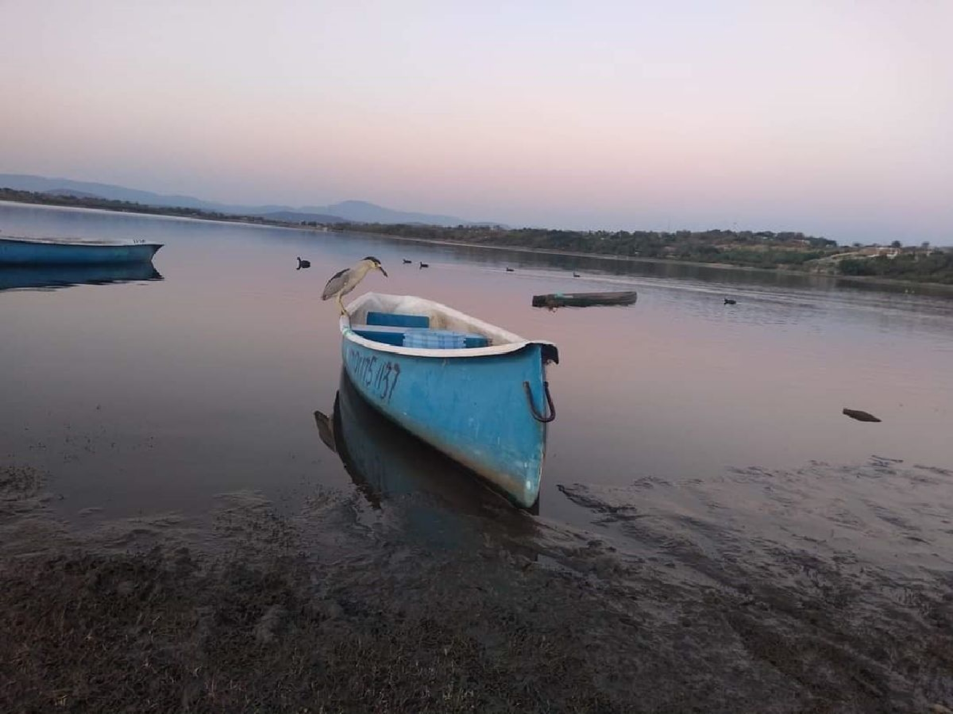 La laguna de El Rodeo, a 40 por ciento de su capacidad