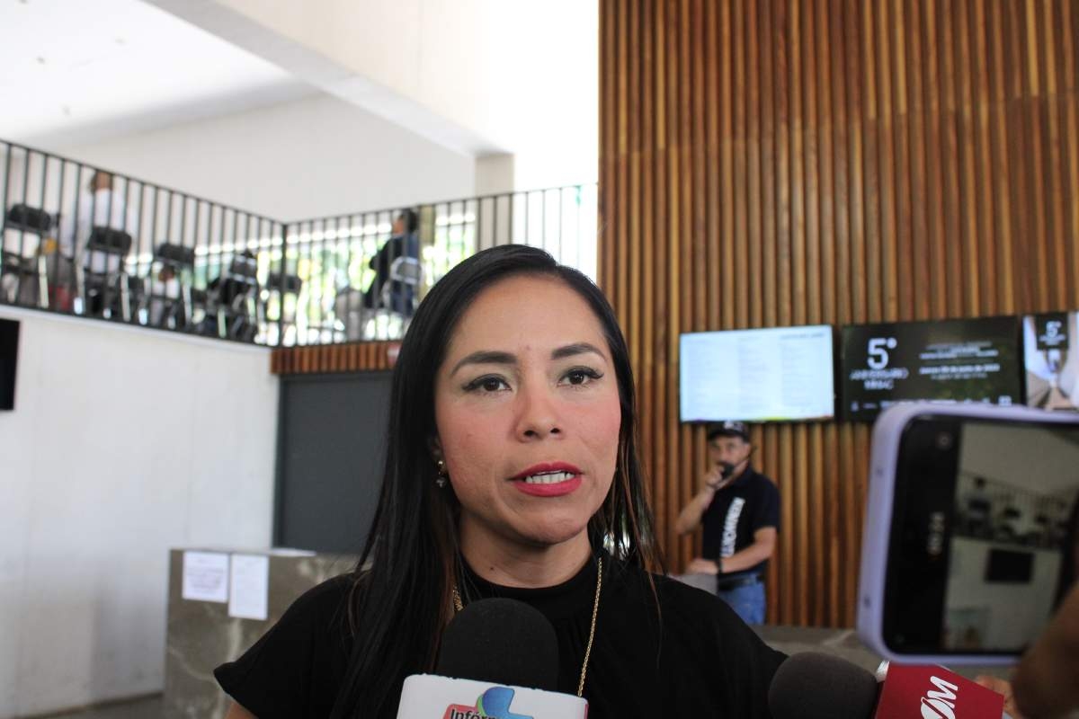 Piden reactivar el "transporte rosa"