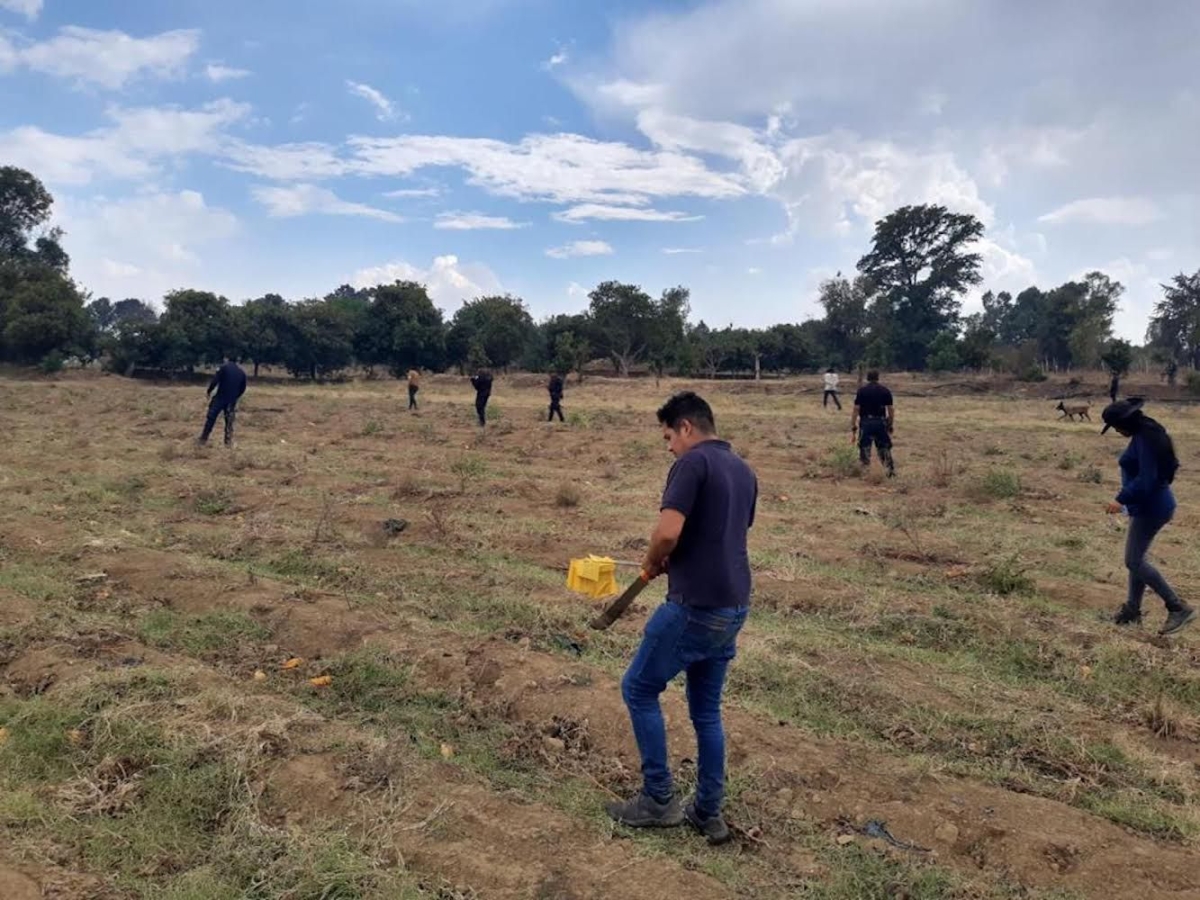 Localizó Comisión de Búsqueda de Personas fragmentos óseos en Yecapixtla