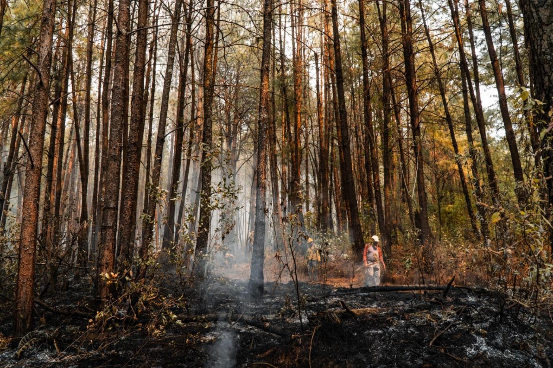 Informa SDS sobre trabajos de sofocación de incendio forestal en Tlalnepantla