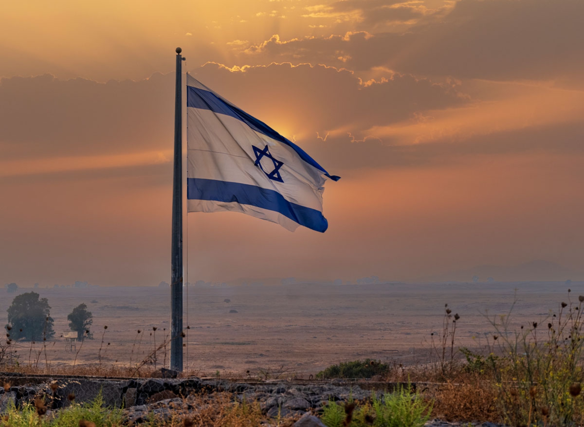 Detectan primer caso de hantavirus en Israel